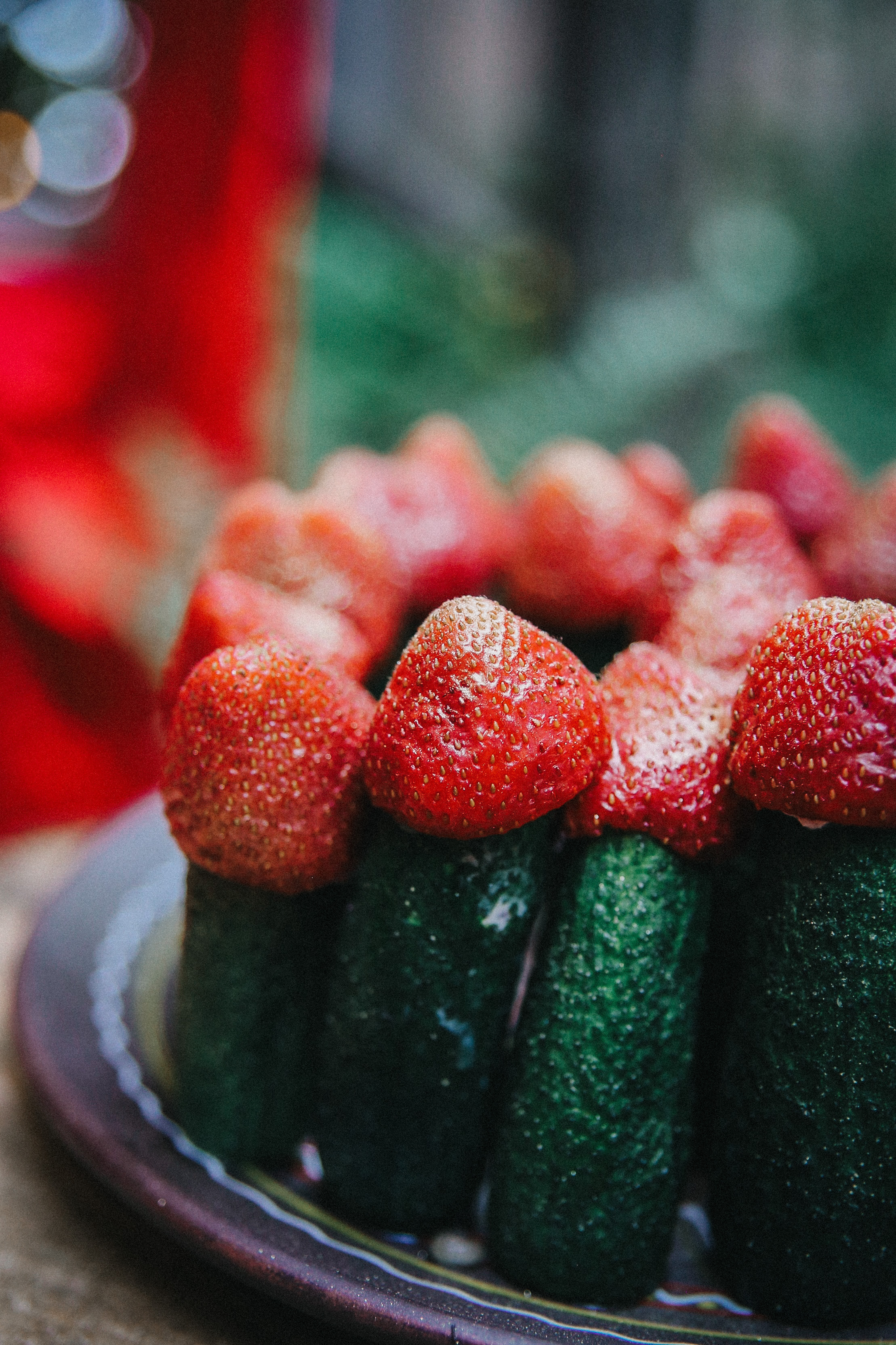 Сад Ракицкого. Фотограф в Серпухове и Тарусе Ксения Царёва