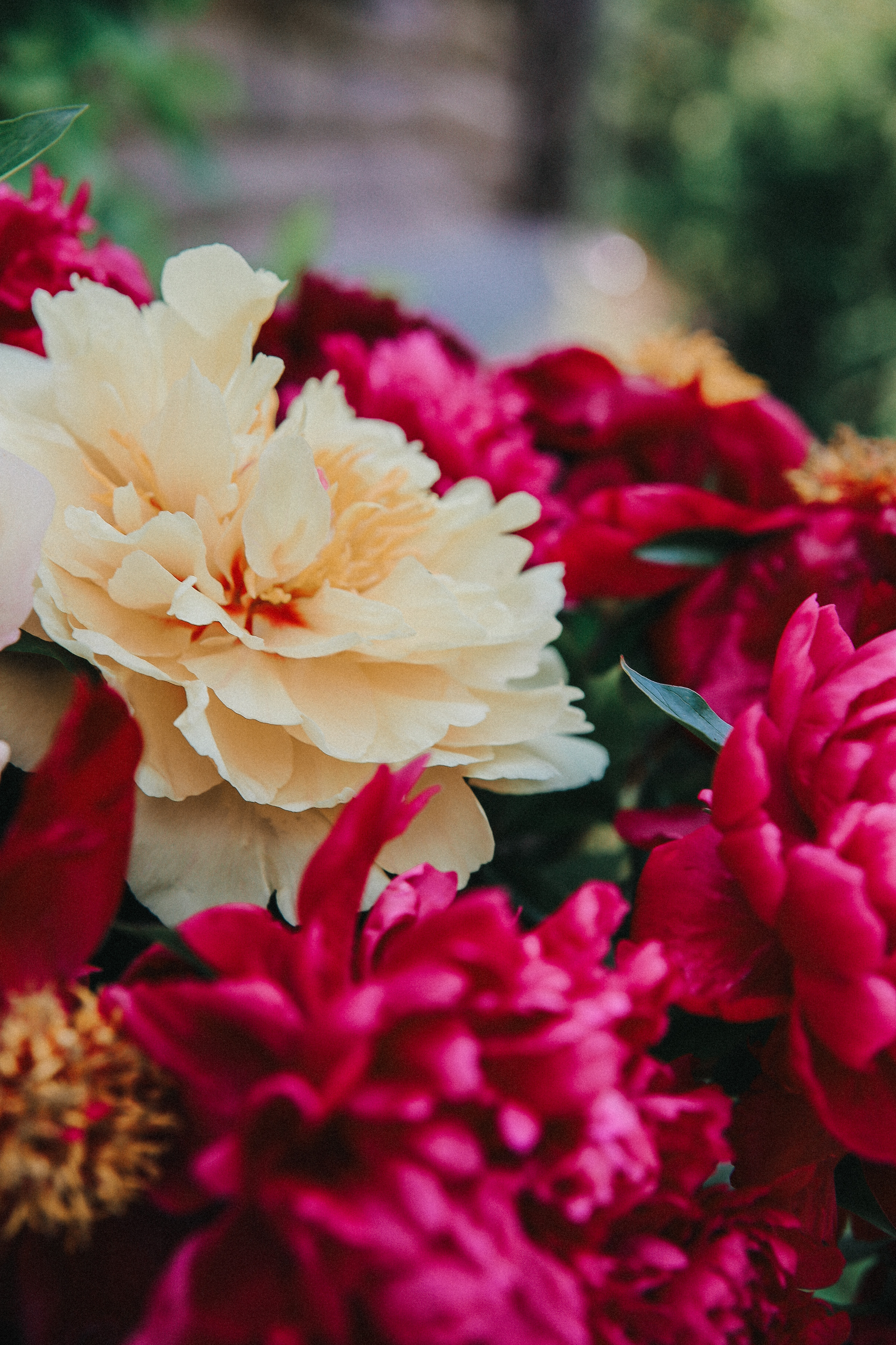 Сад Ракицкого. Фотограф в Серпухове и Тарусе Ксения Царёва