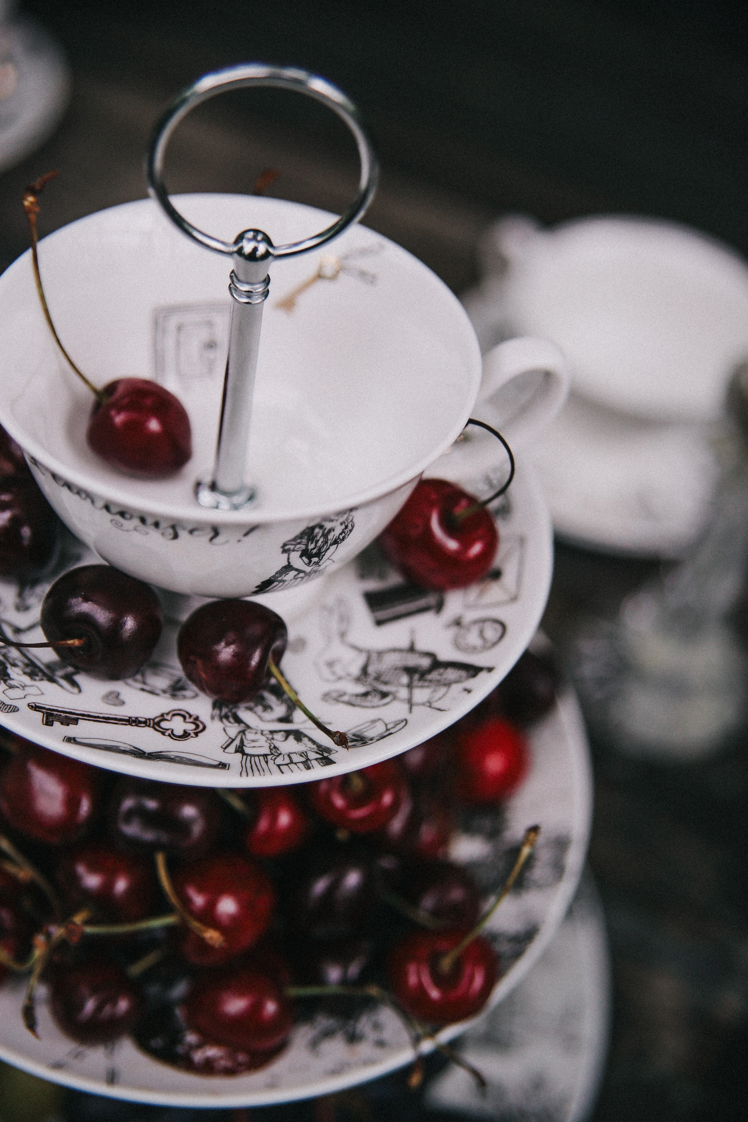 Сад Ракицкого. Фотограф в Серпухове и Тарусе Ксения Царёва