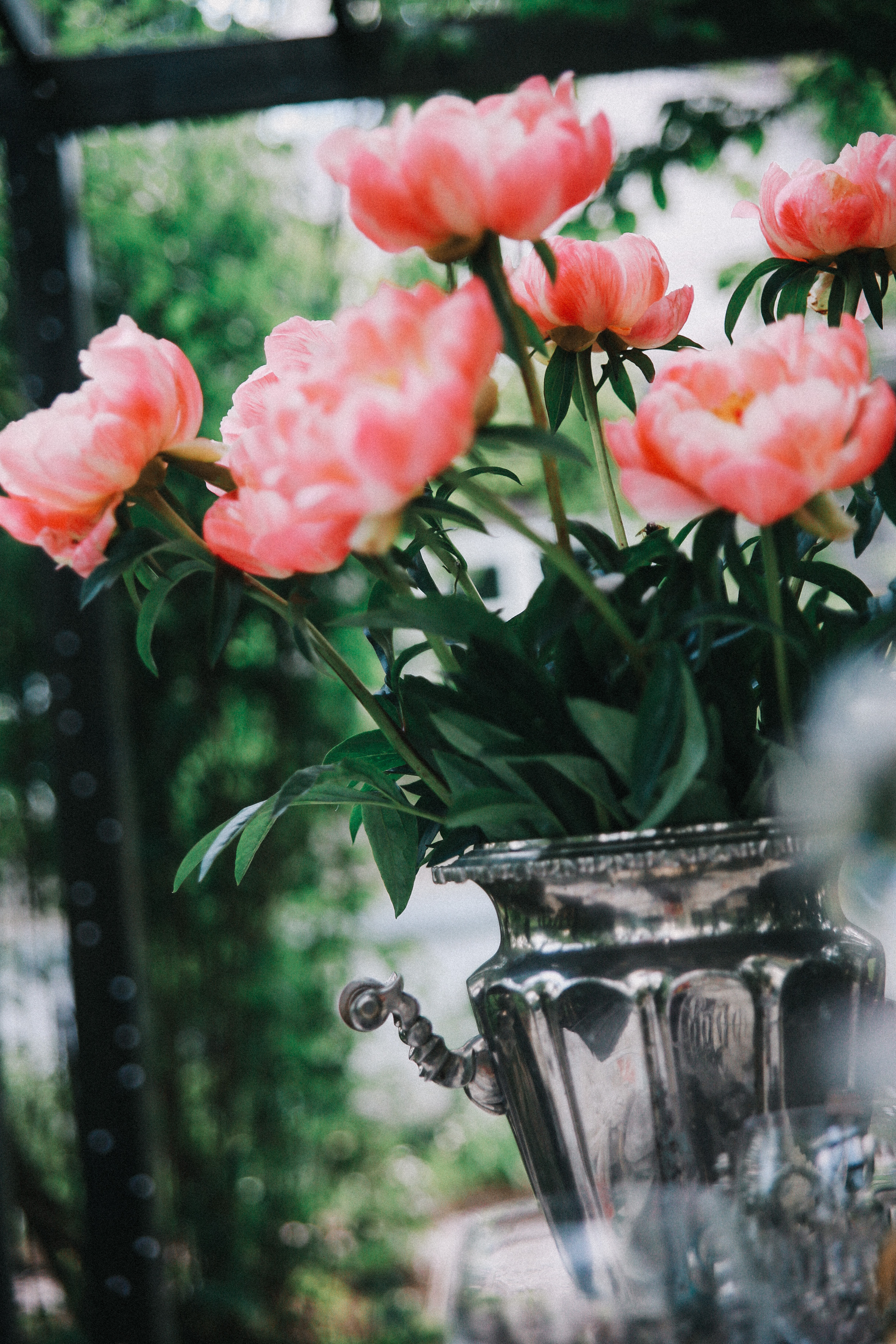 Сад Ракицкого. Фотограф в Серпухове и Тарусе Ксения Царёва