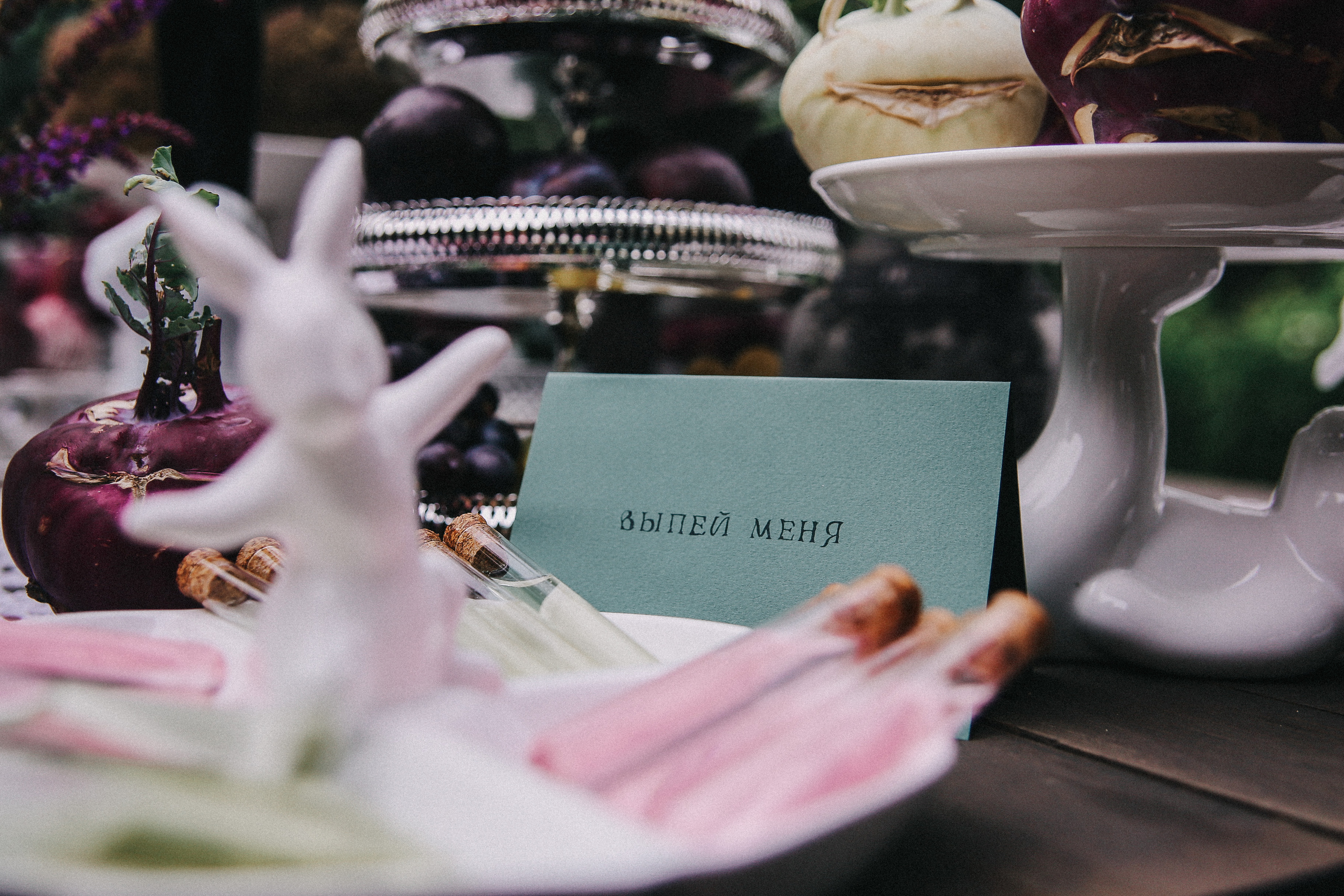 Сад Ракицкого. Фотограф в Серпухове и Тарусе Ксения Царёва