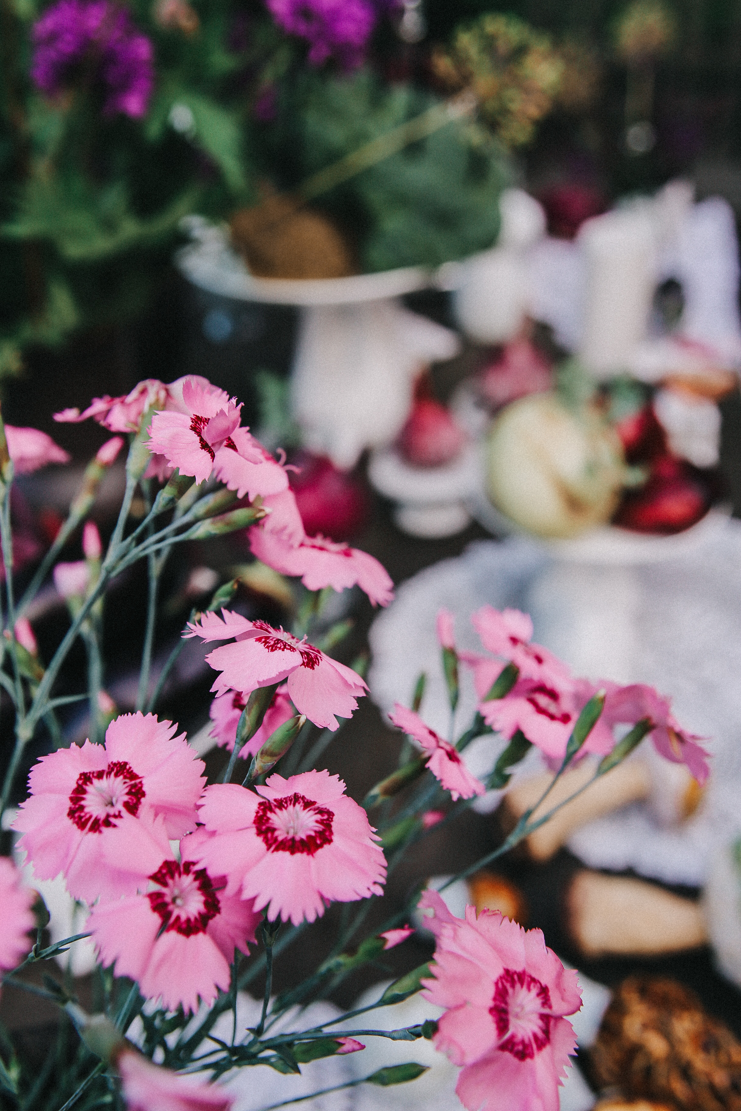 Сад Ракицкого. Фотограф в Серпухове и Тарусе Ксения Царёва