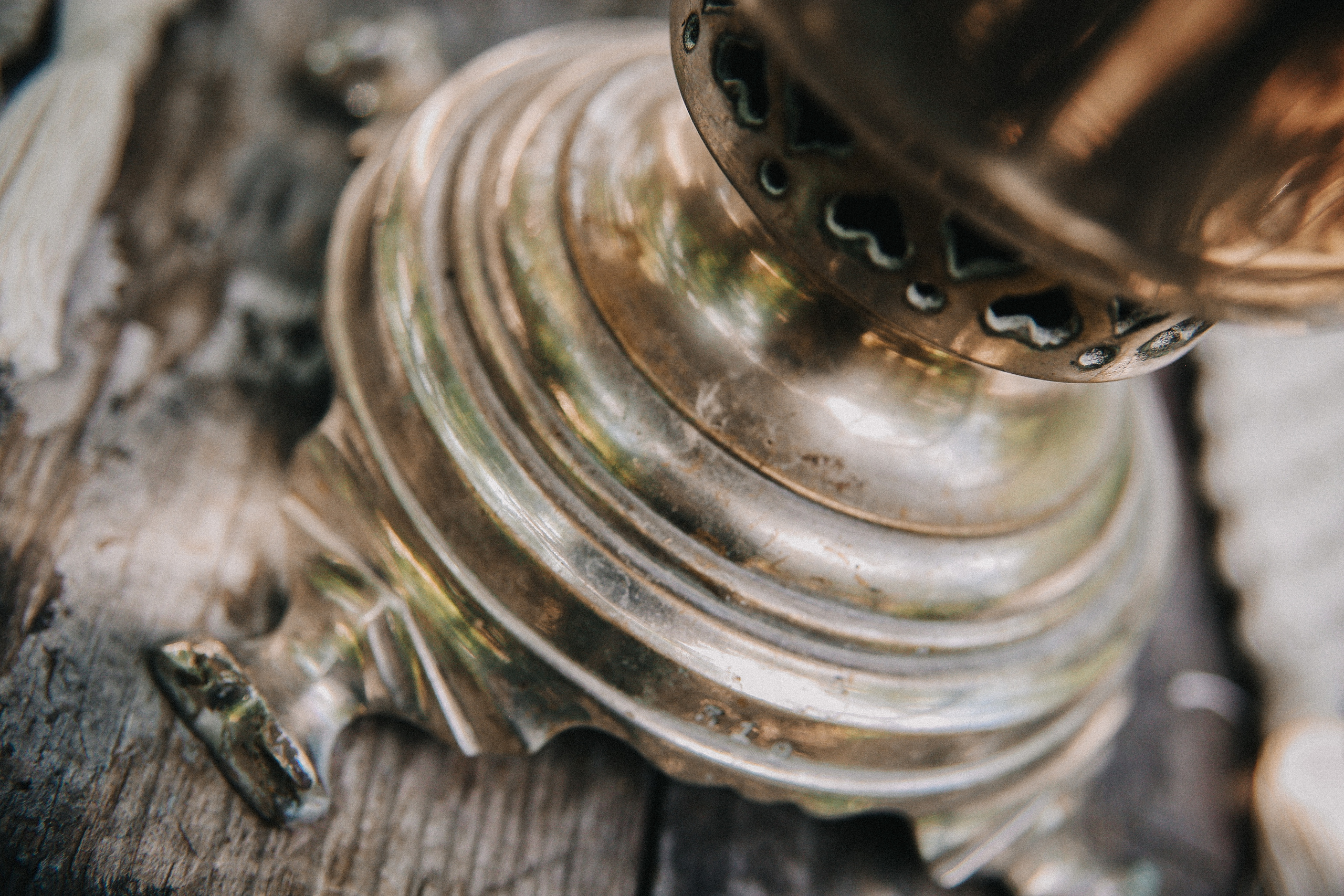 Сад Ракицкого. Фотограф в Серпухове и Тарусе Ксения Царёва