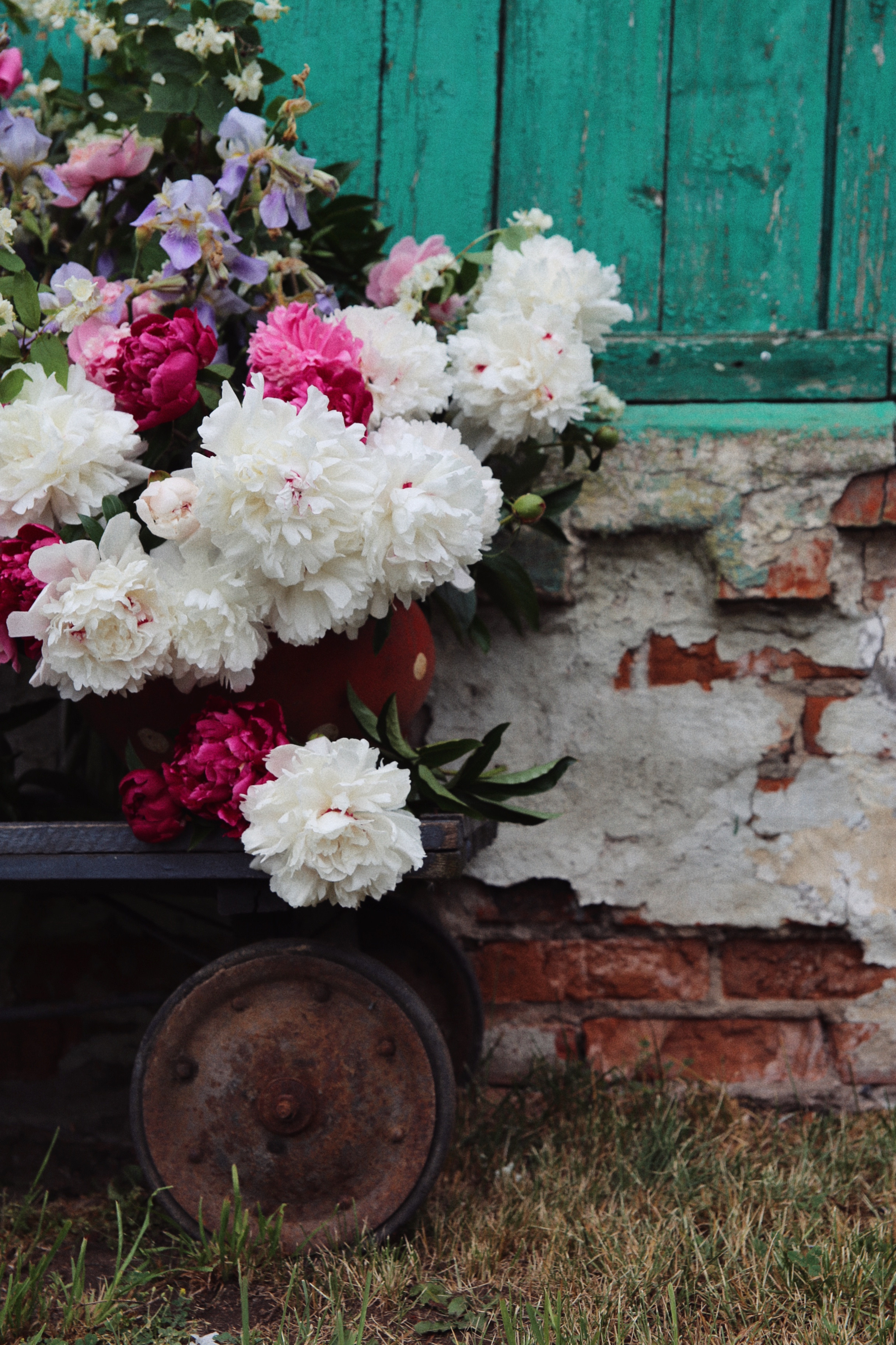 Дачные истории. Фотограф в Серпухове и Тарусе Ксения Царёва