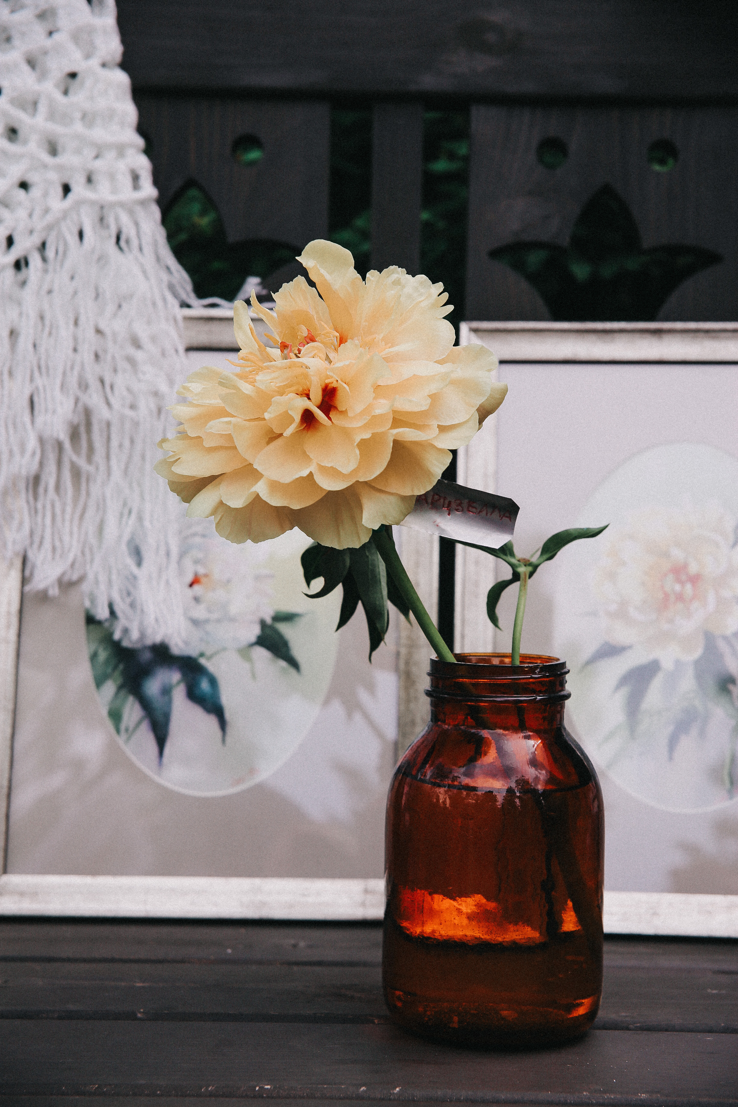 Сад Ракицкого. Фотограф в Серпухове и Тарусе Ксения Царёва