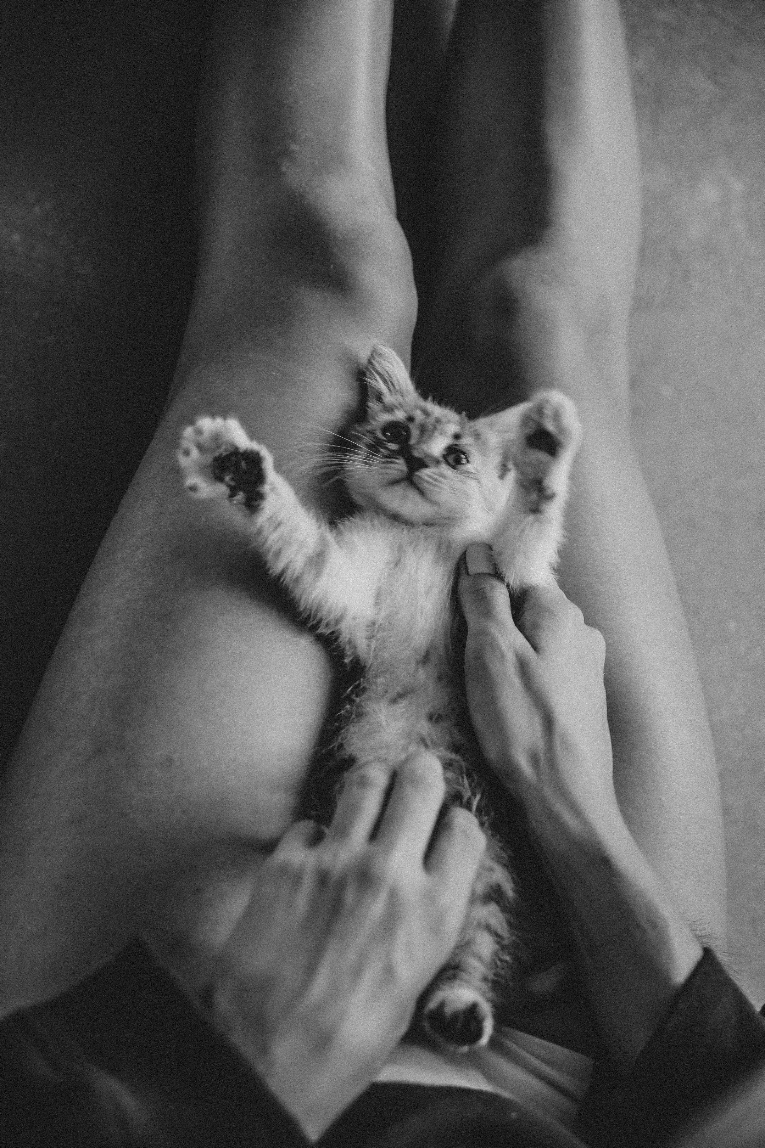 Студия Soul. Фотограф в Серпухове и Тарусе Ксения Царёва