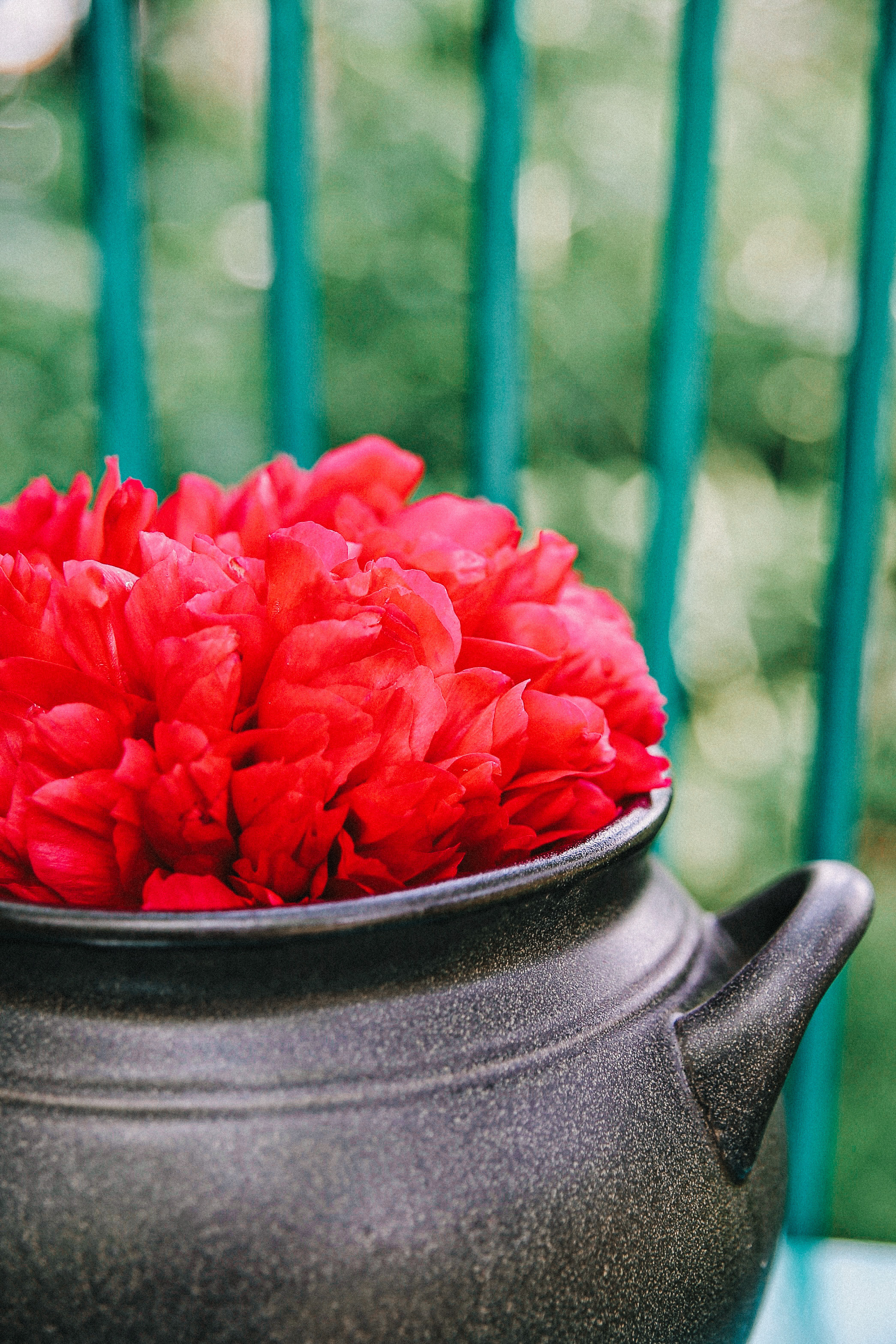 Сад Ракицкого. Фотограф в Серпухове и Тарусе Ксения Царёва