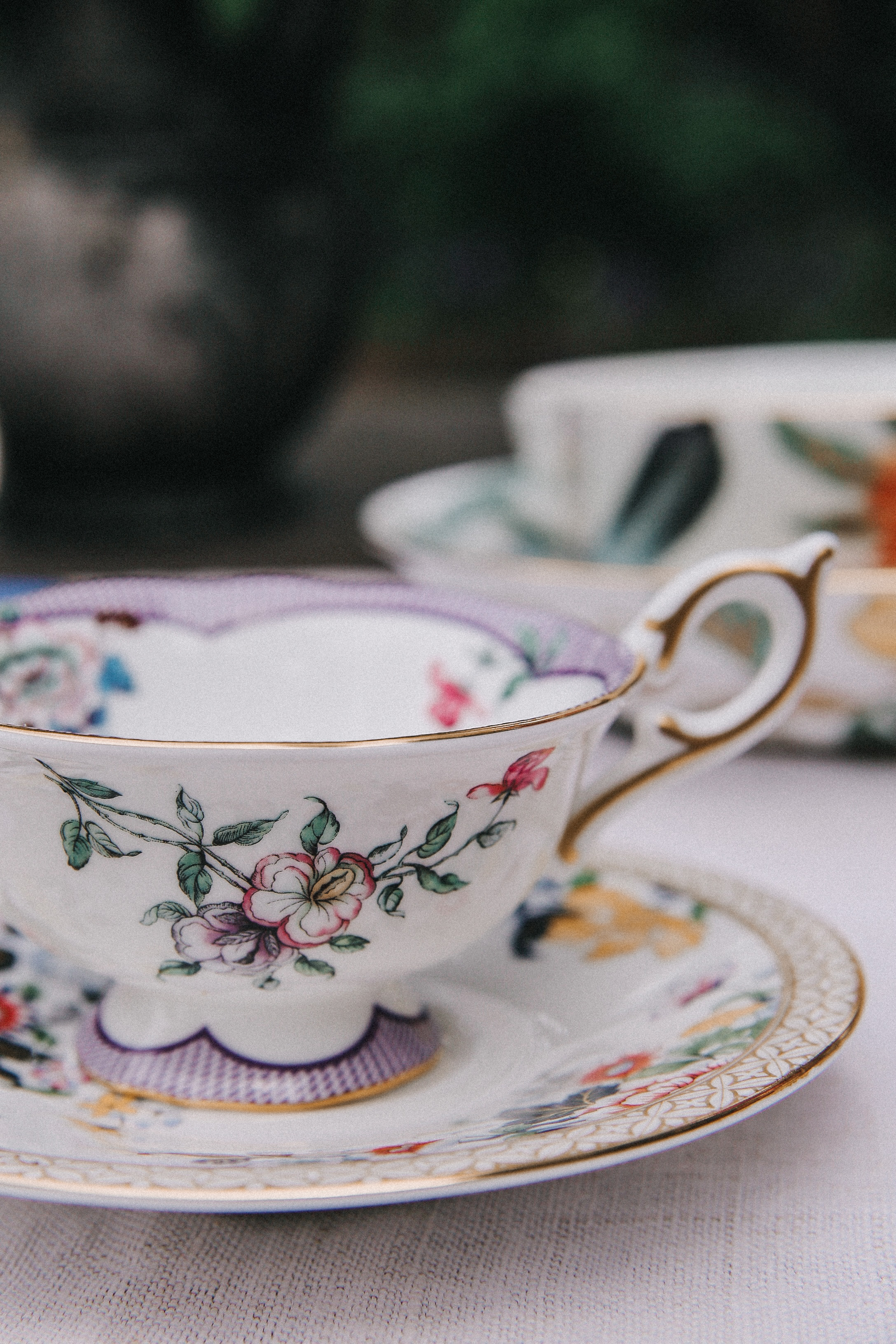 Сад Ракицкого. Фотограф в Серпухове и Тарусе Ксения Царёва