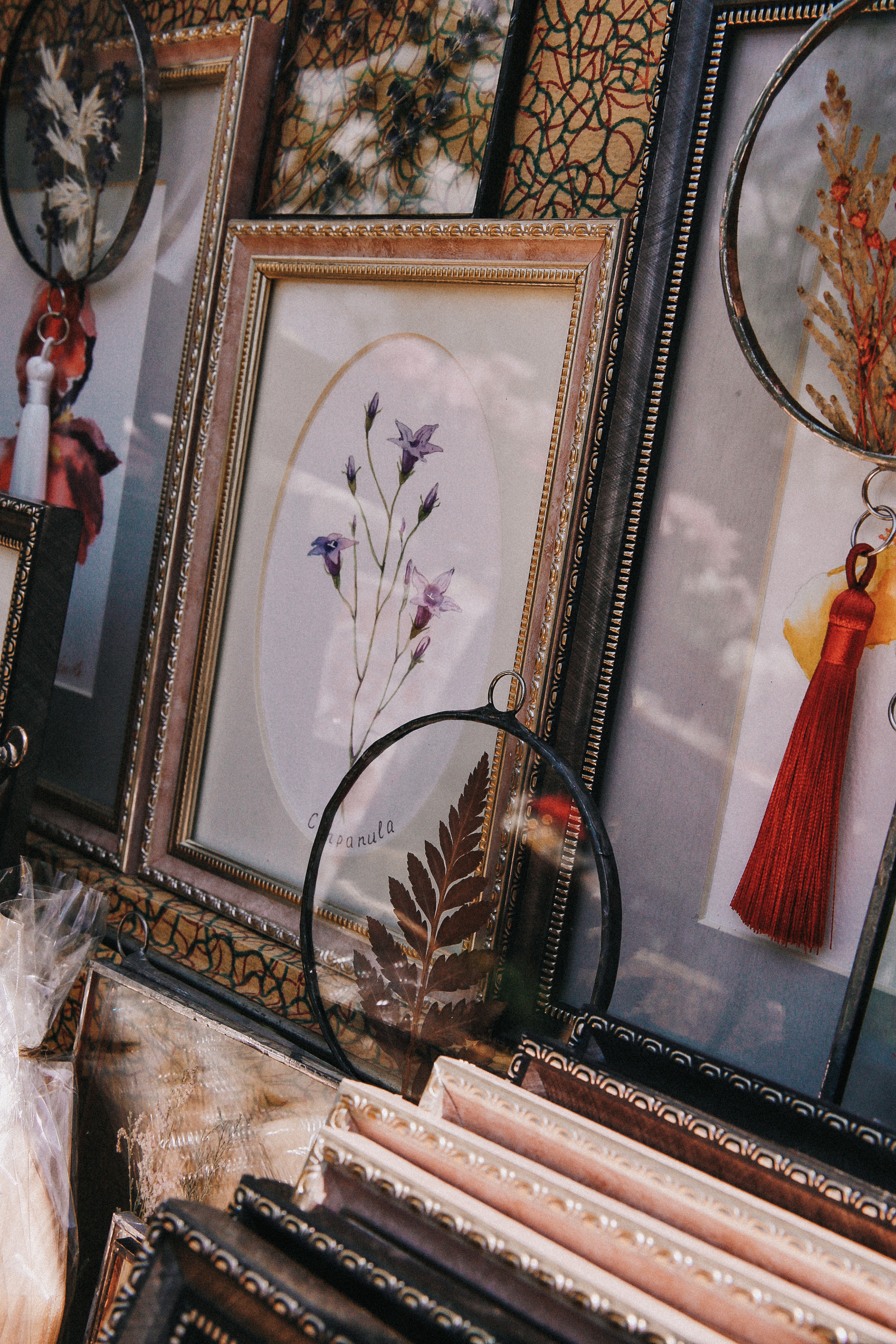 Сад Ракицкого. Фотограф в Серпухове и Тарусе Ксения Царёва