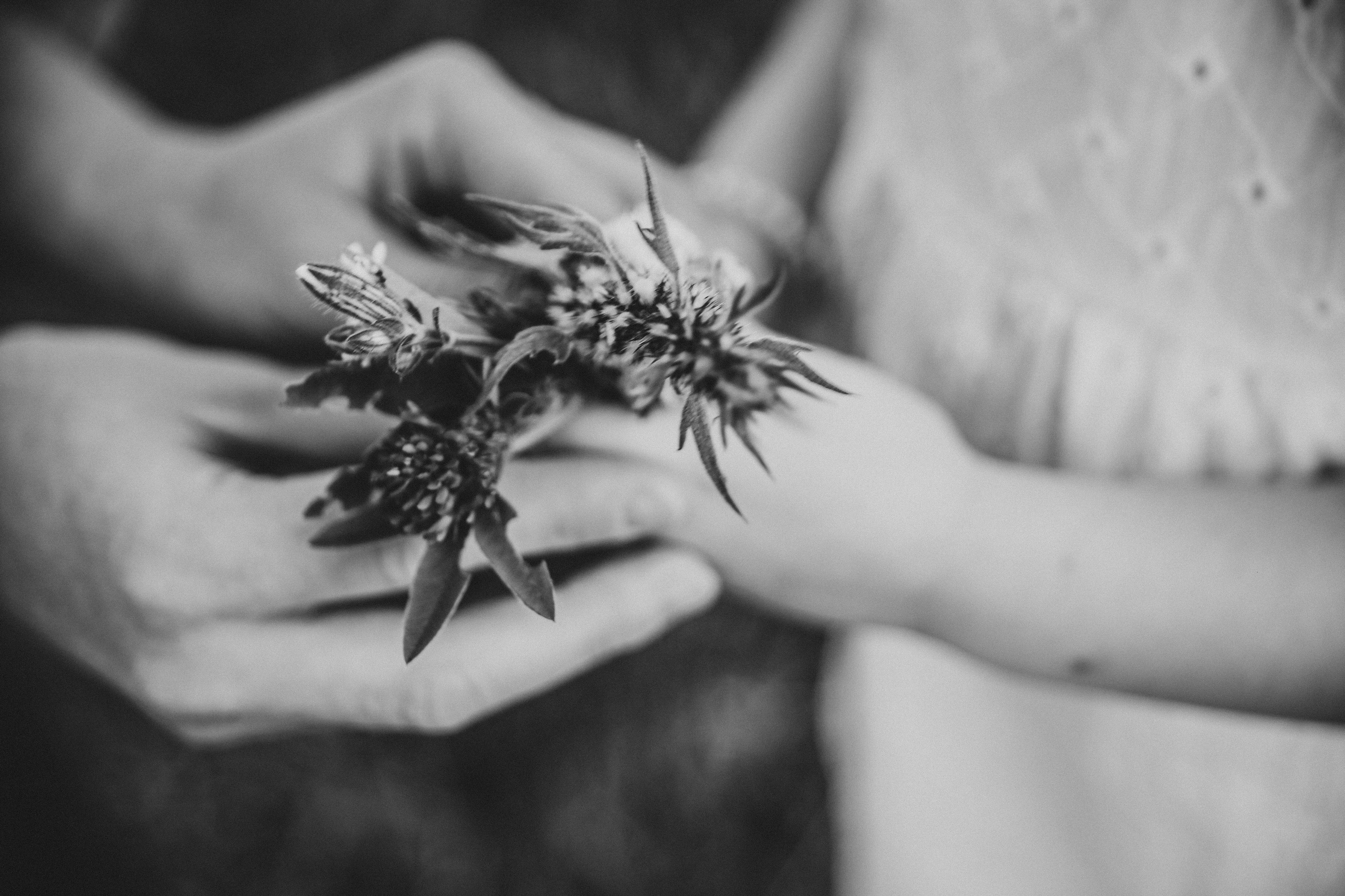 На улице. Фотограф в Серпухове и Тарусе Ксения Царёва