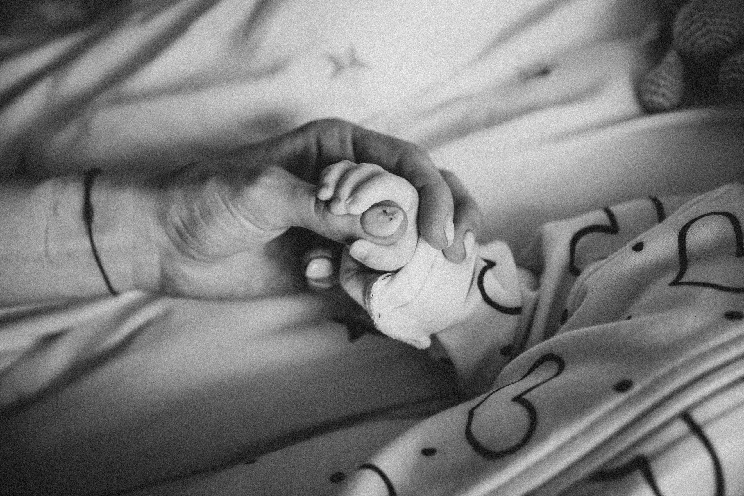 Домашний life-style. Фотограф в Серпухове и Тарусе Ксения Царёва