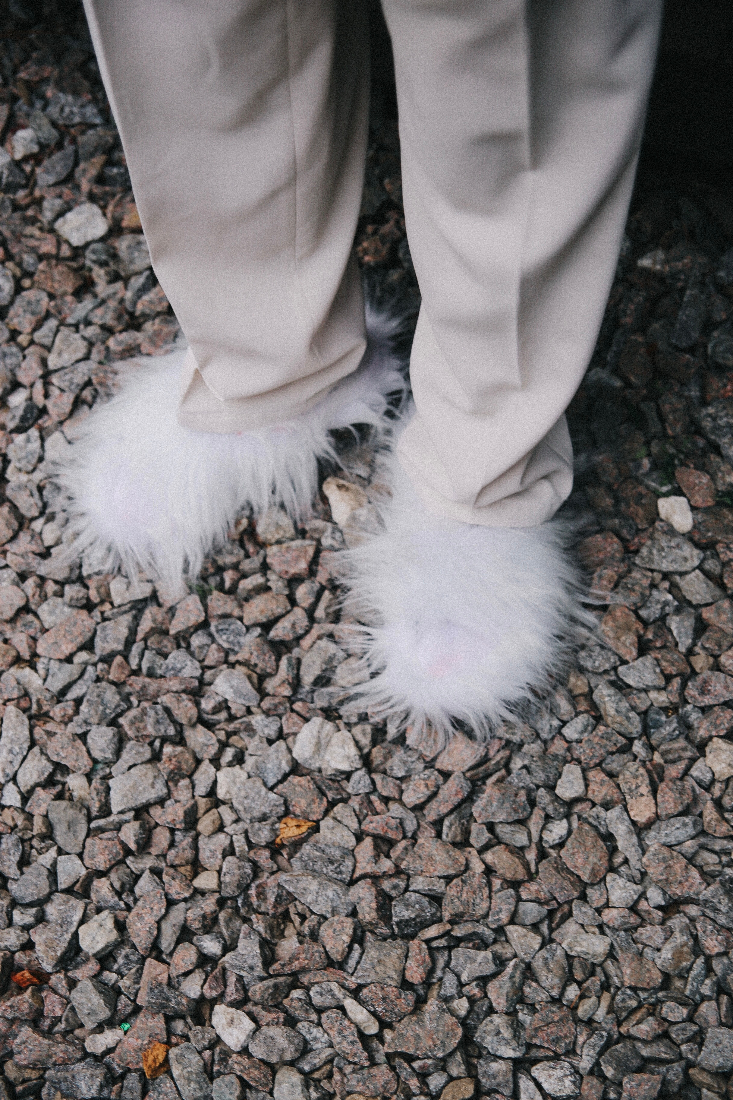 Сад Ракицкого. Фотограф в Серпухове и Тарусе Ксения Царёва