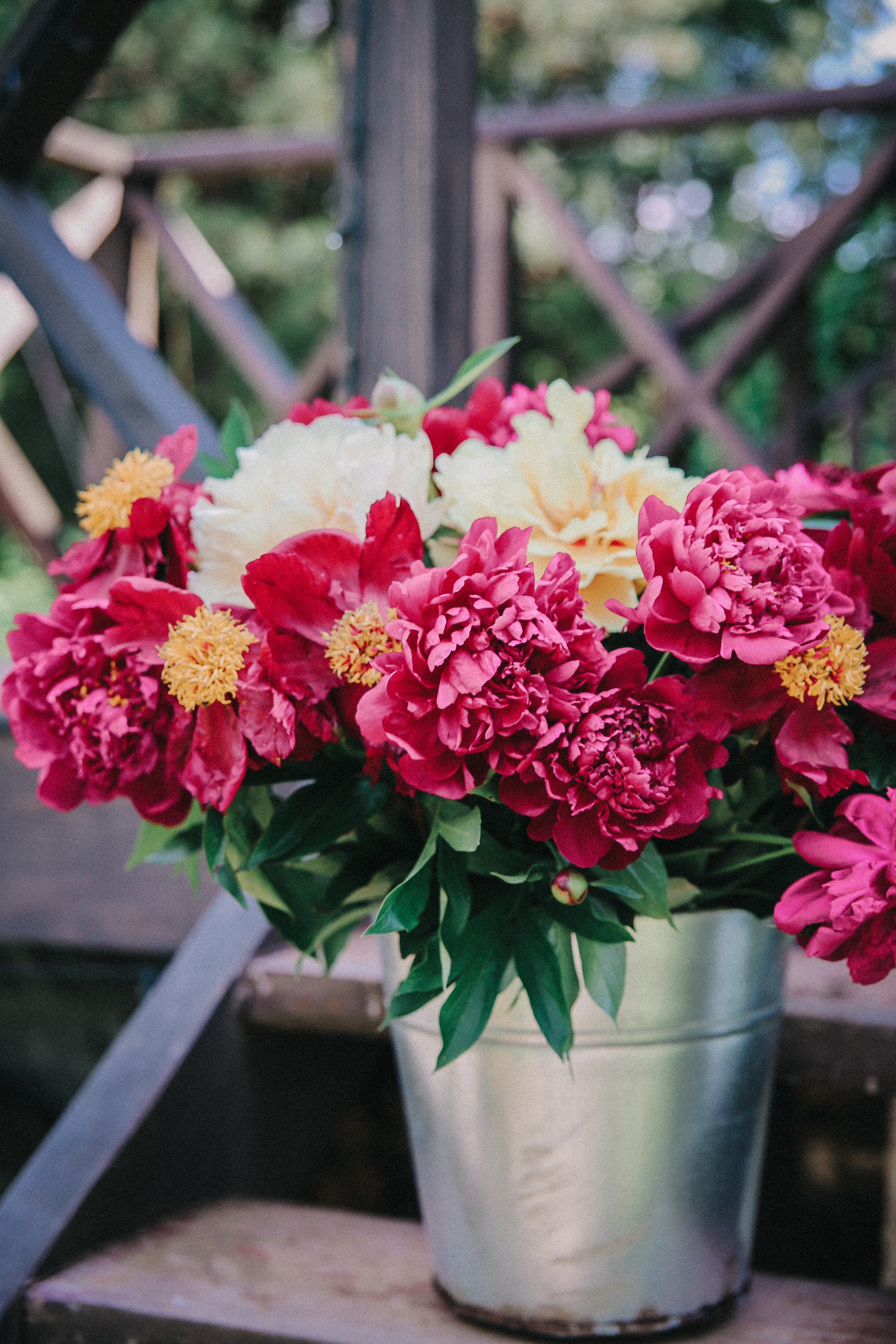 Сад Ракицкого. Фотограф в Серпухове и Тарусе Ксения Царёва