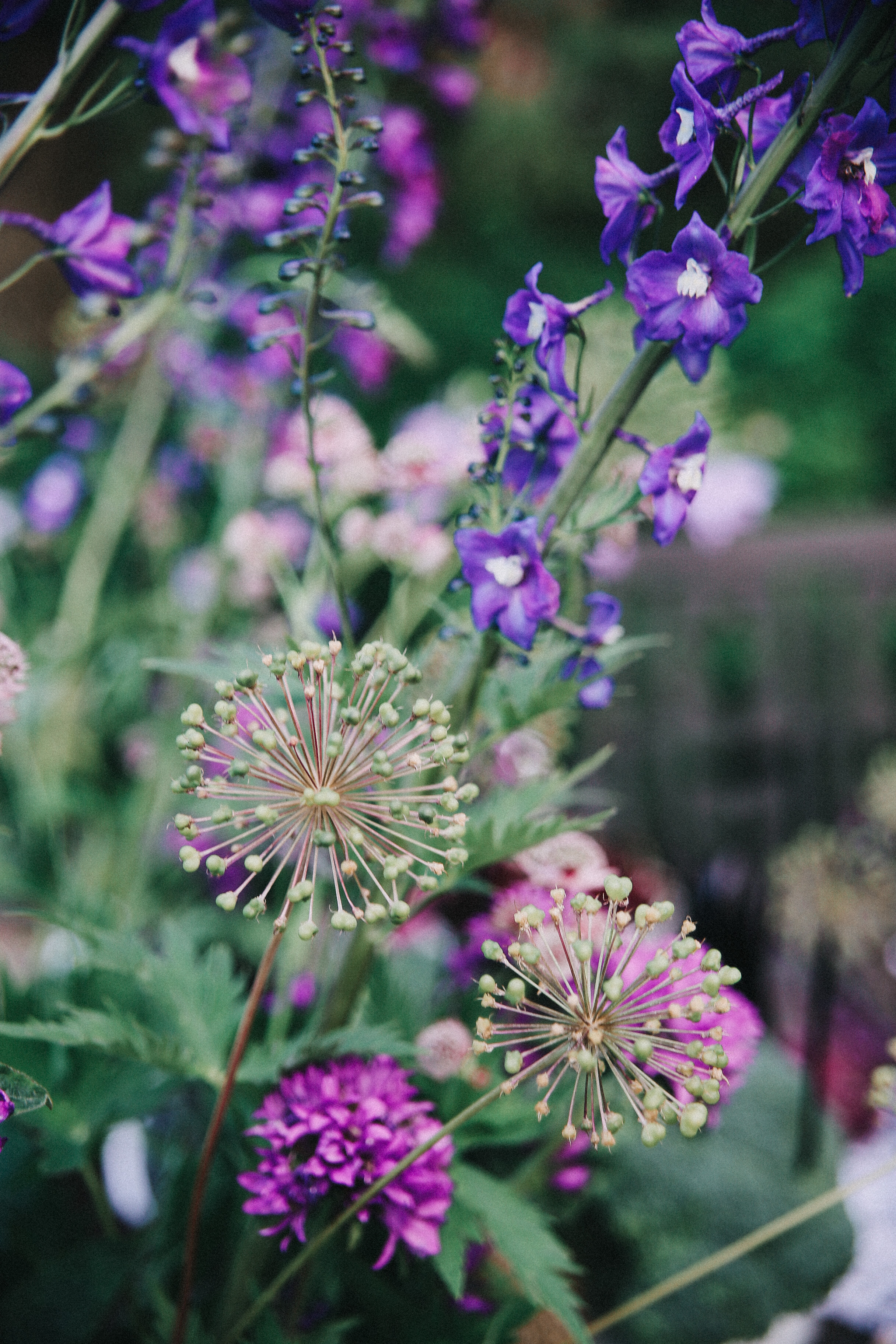 Сад Ракицкого. Фотограф в Серпухове и Тарусе Ксения Царёва