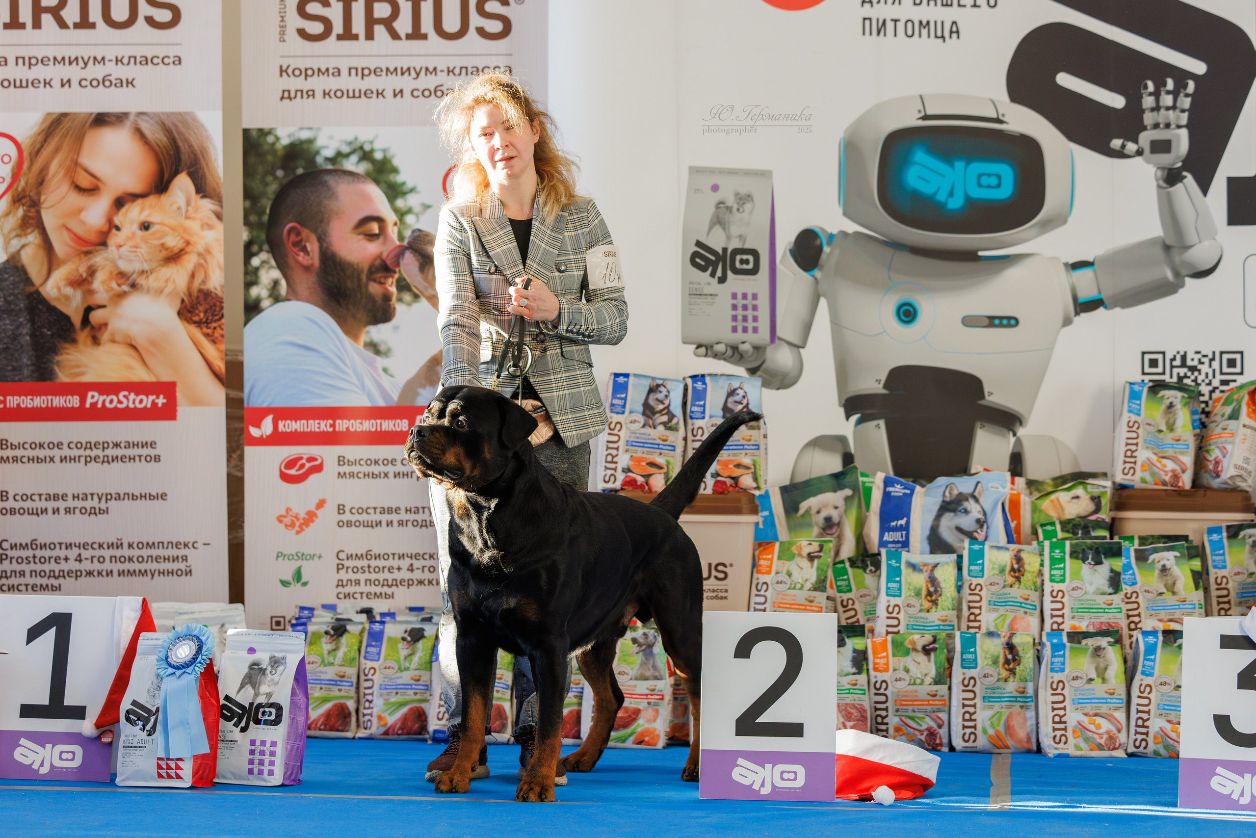 Питер ротвейлеры 18.01,Крокус 19.01.2025. Фотограф-анималист Юлия Германика