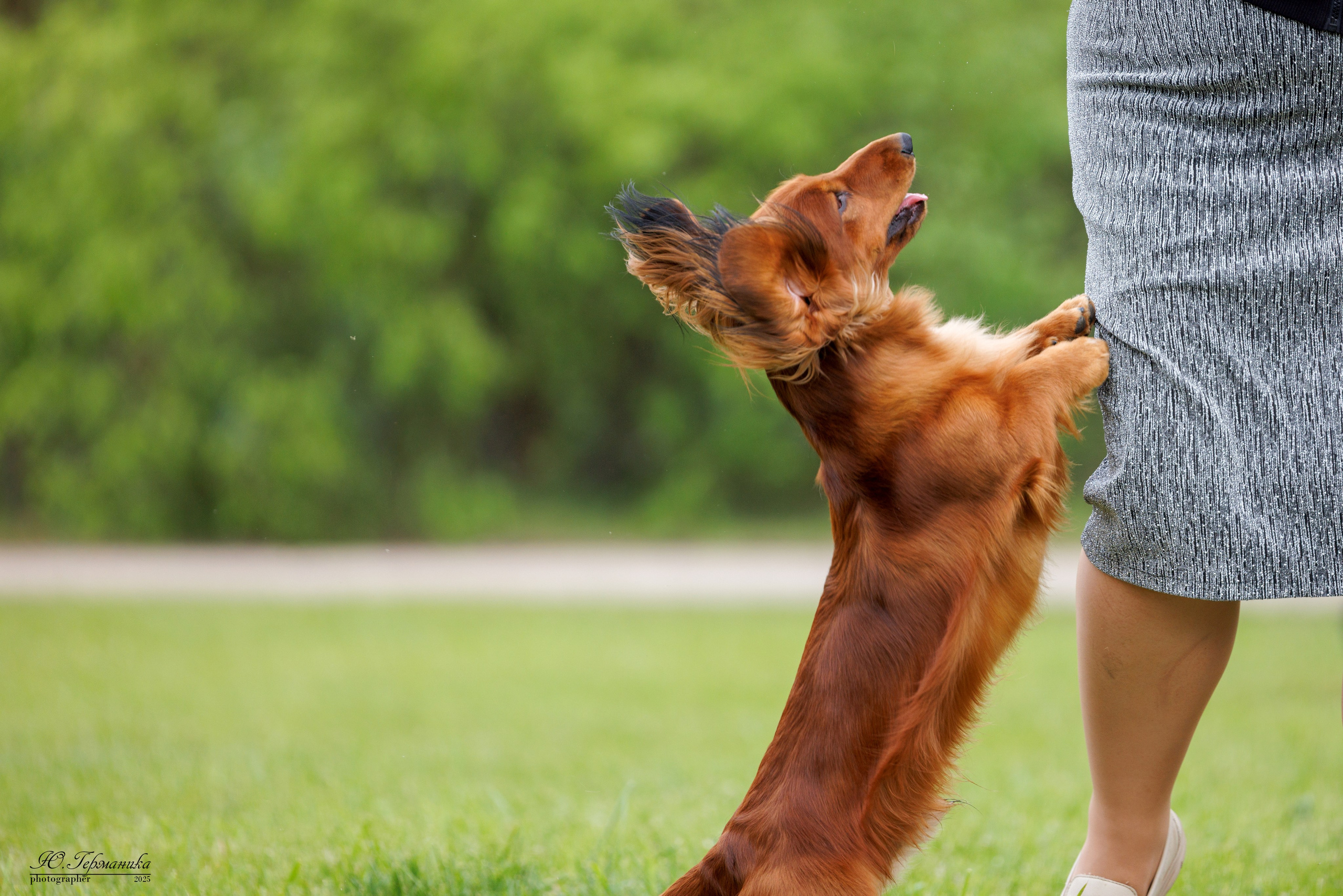 Суздаль(Владимир)17-18.05.2025. Фотограф-анималист Юлия Германика