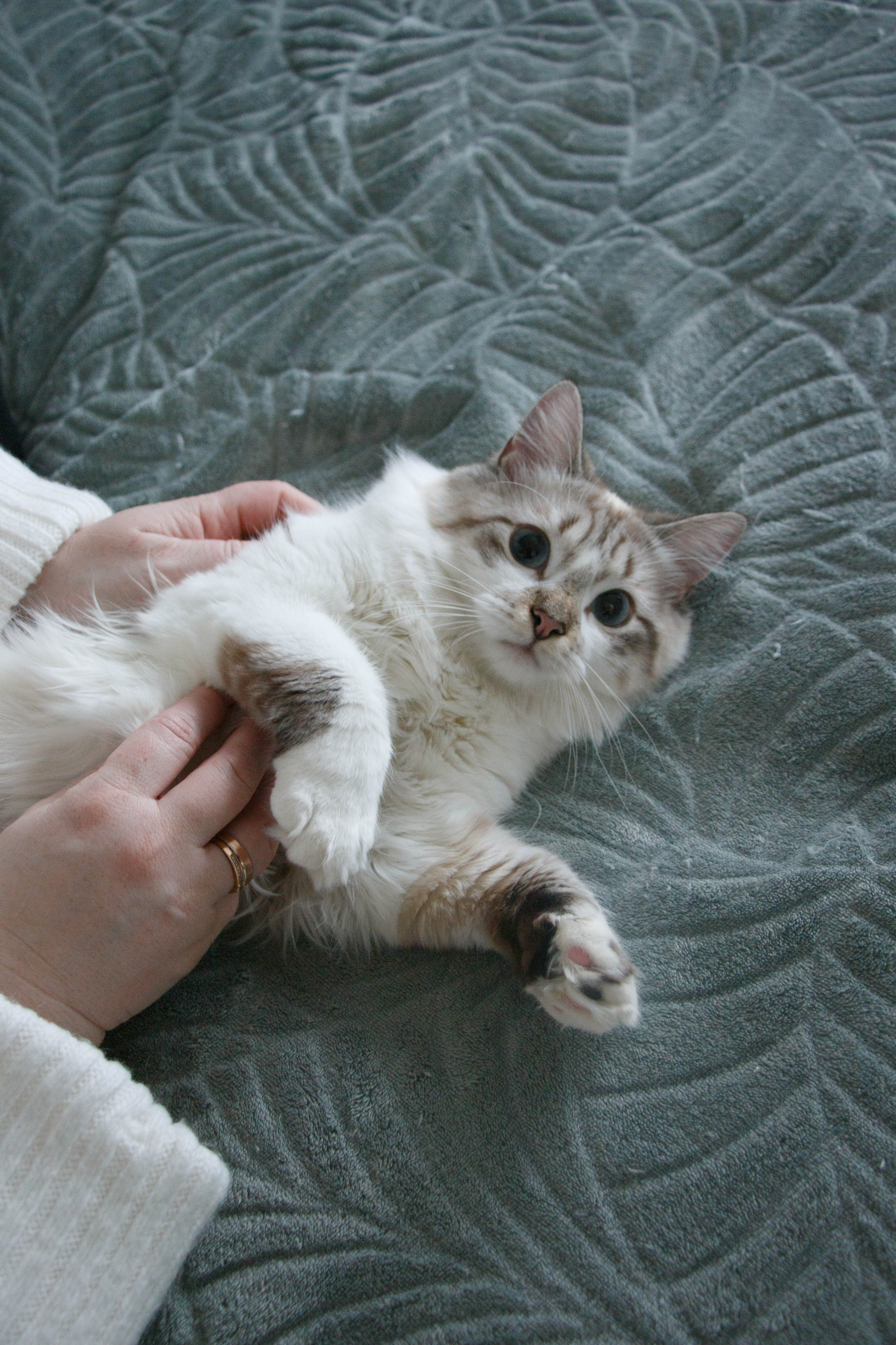 Kristina & Miya. Бережно сохраняю ваши чувства и истории на своих фотографиях