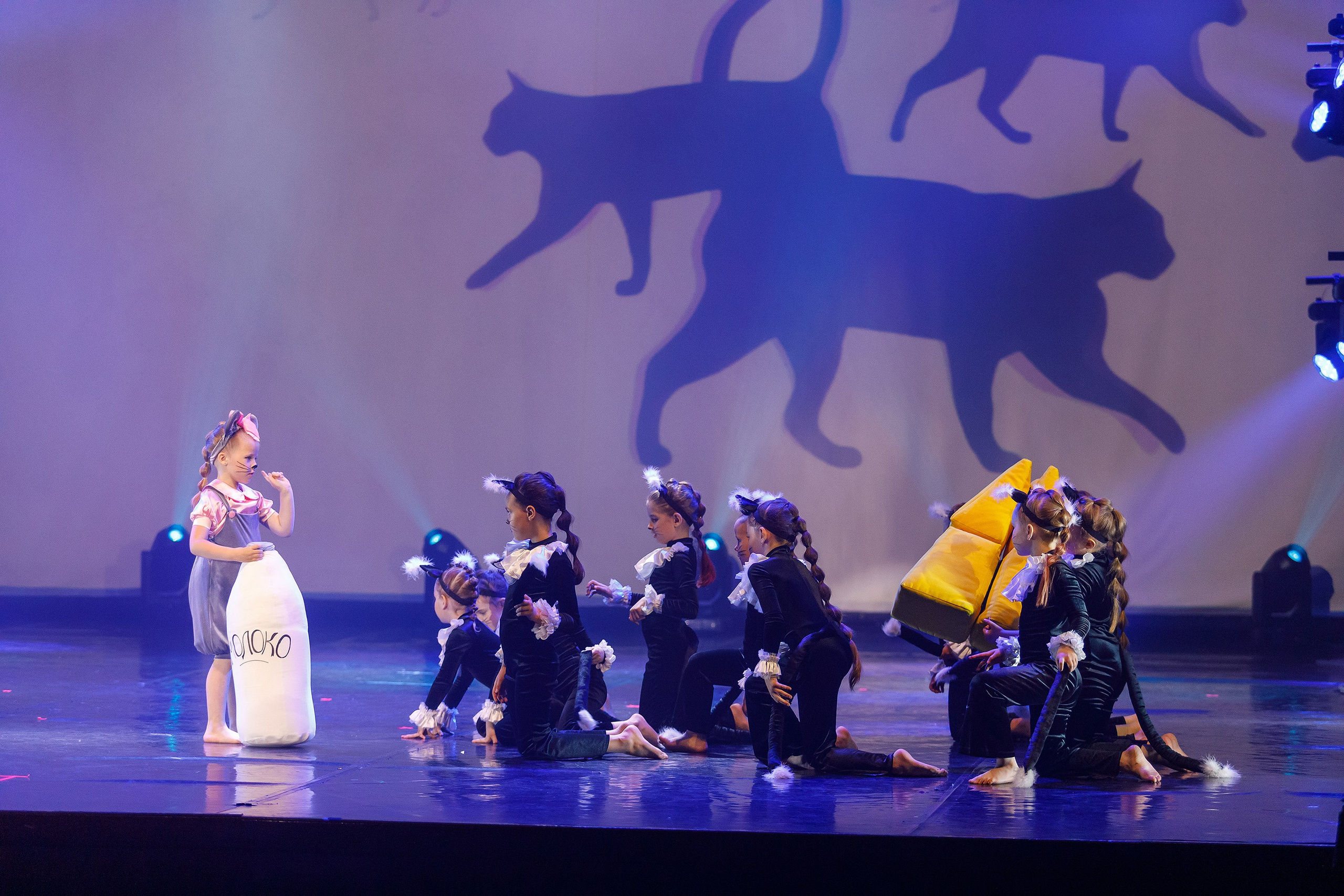 Репортажная фотосъемка отчетного концерта. Профессиональный фотограф в Новосибирске