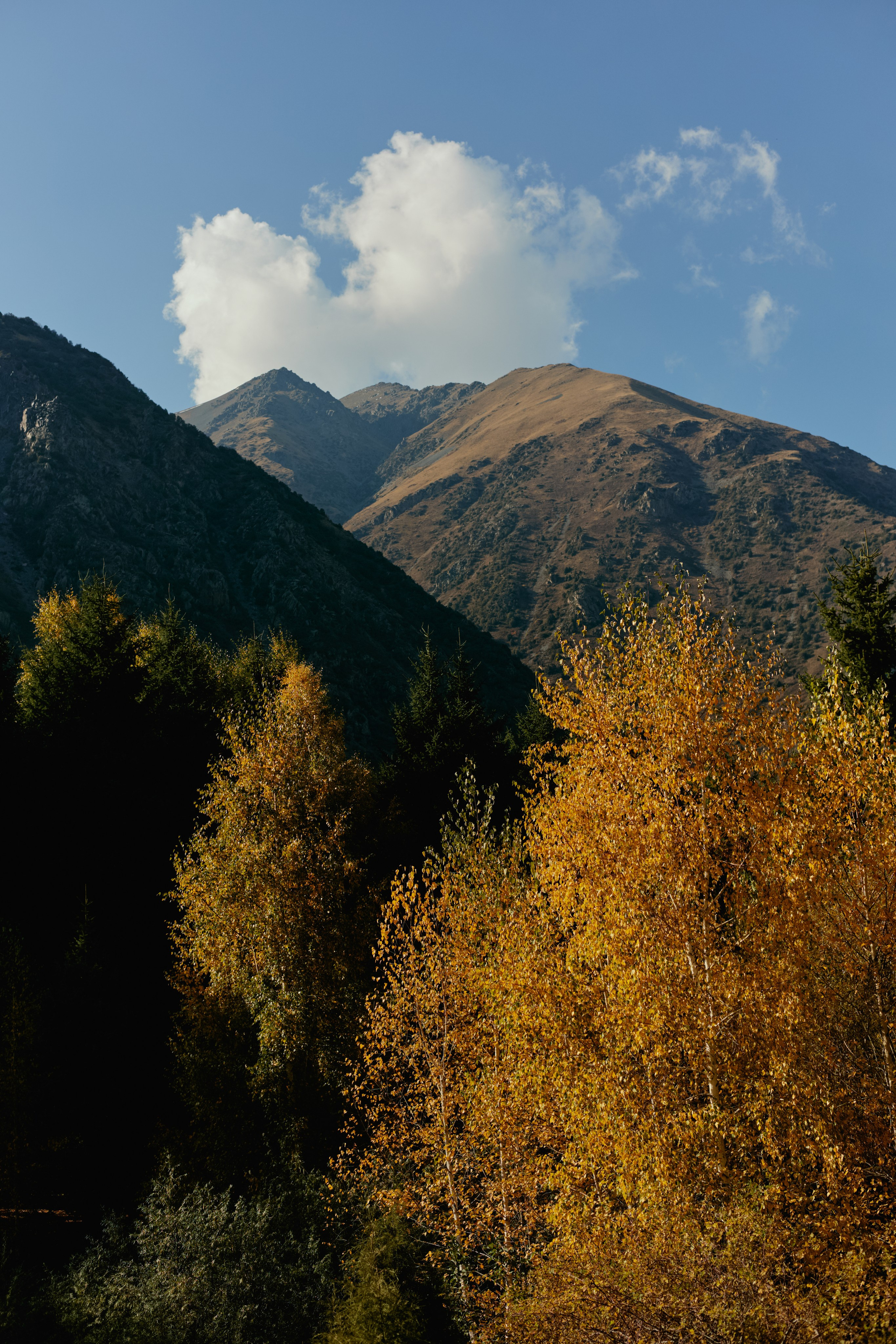 Кыргызтан. Профессиональный Фотограф во Владимире, в Москве и в Суздале — Полина Романычева