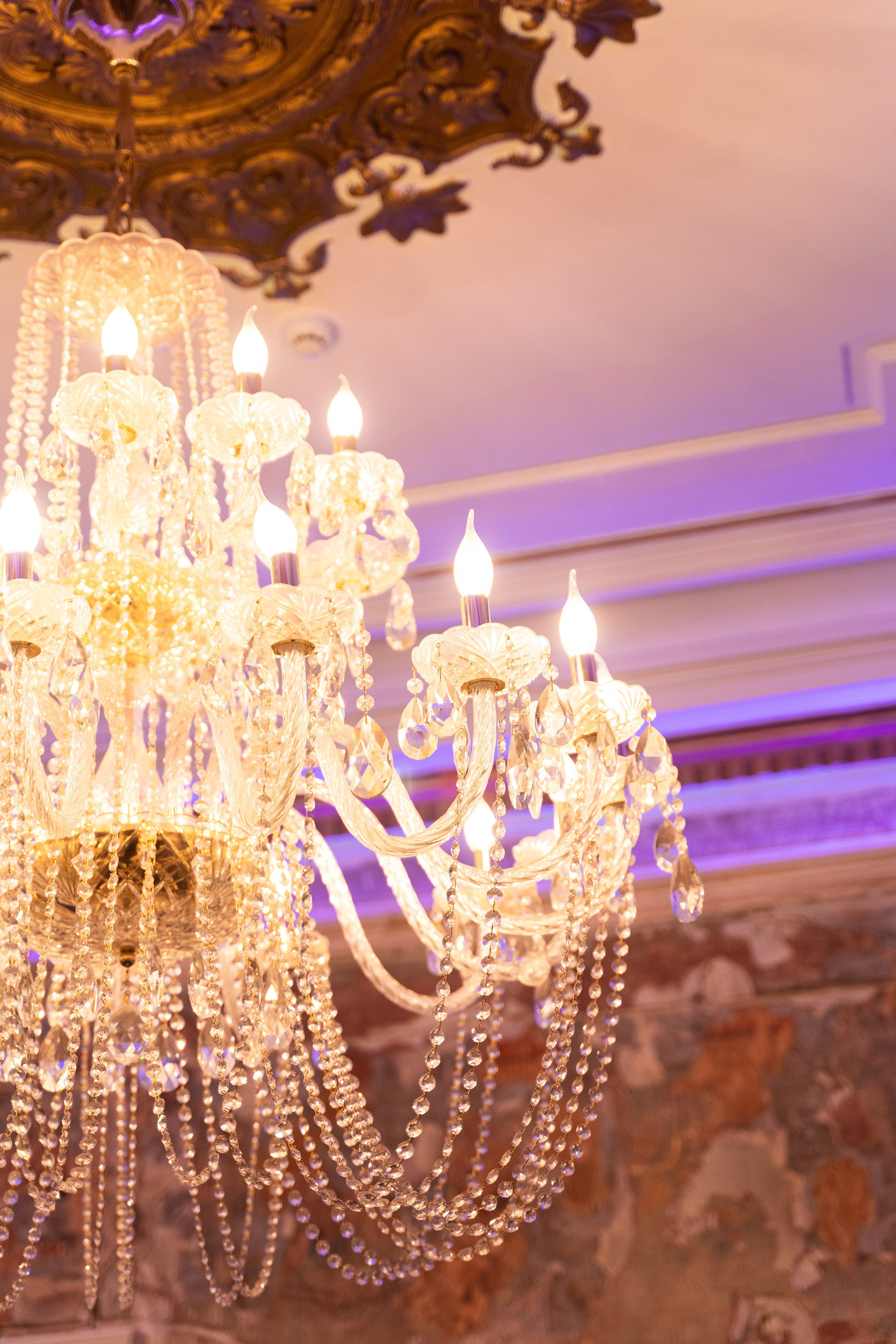 Интерьерная. Kamelia Candy фотограф Самара/ Москва