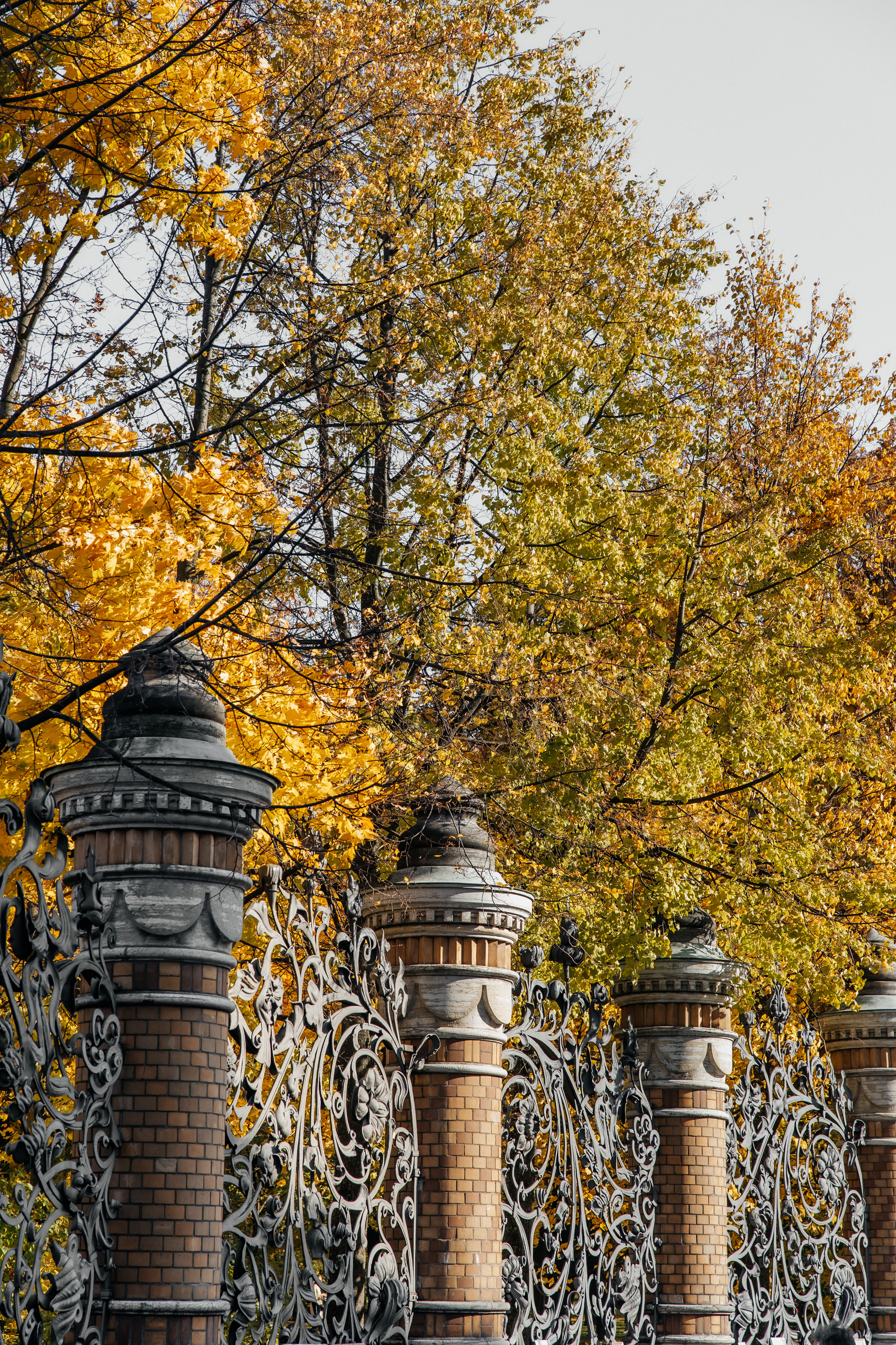 Санкт-Петербург. Свадебный и репортажный фотограф в Москве Владимир Сергеев | Naysaikolo