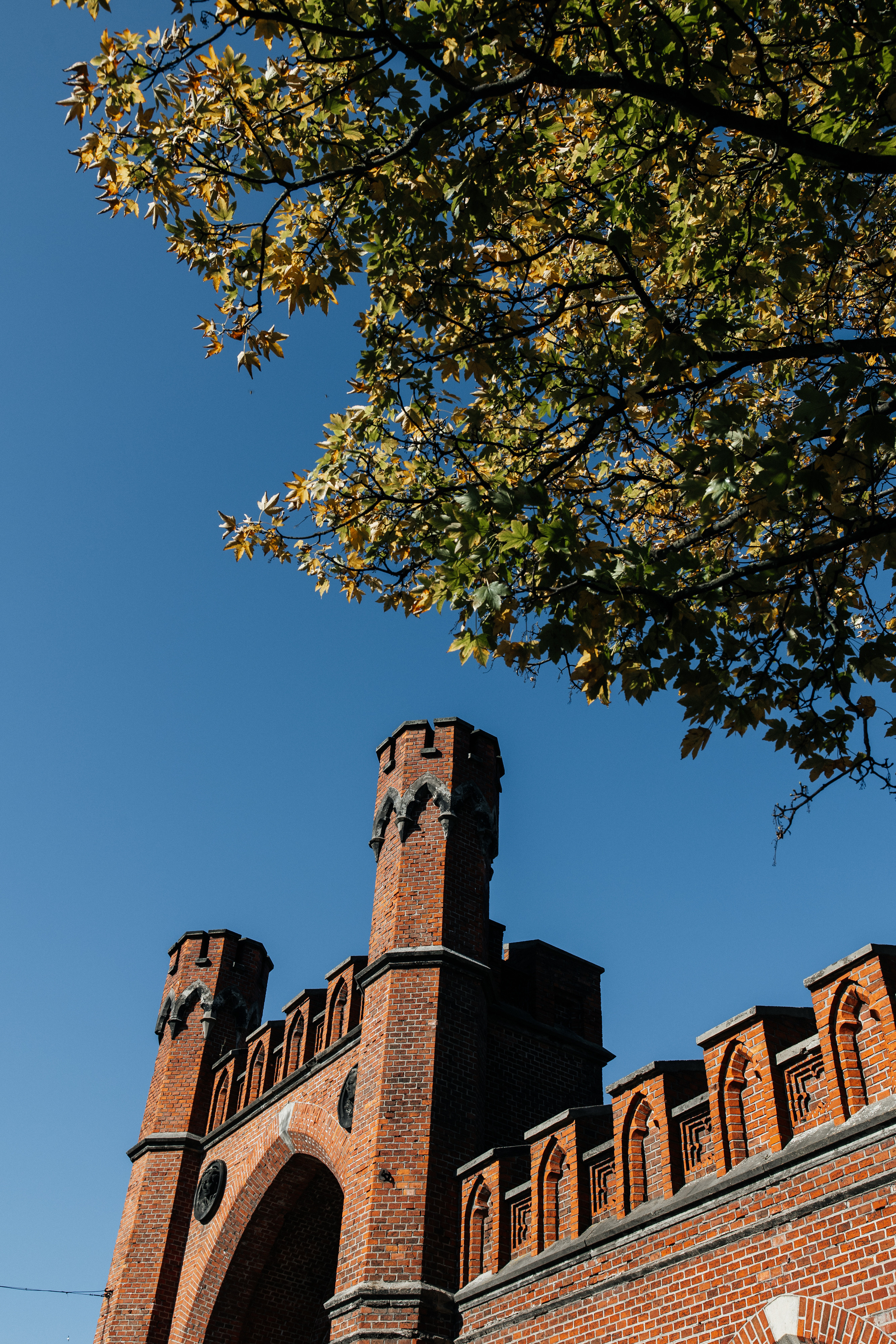 Калининградская область. Свадебный и репортажный фотограф в Москве Владимир Сергеев | Naysaikolo