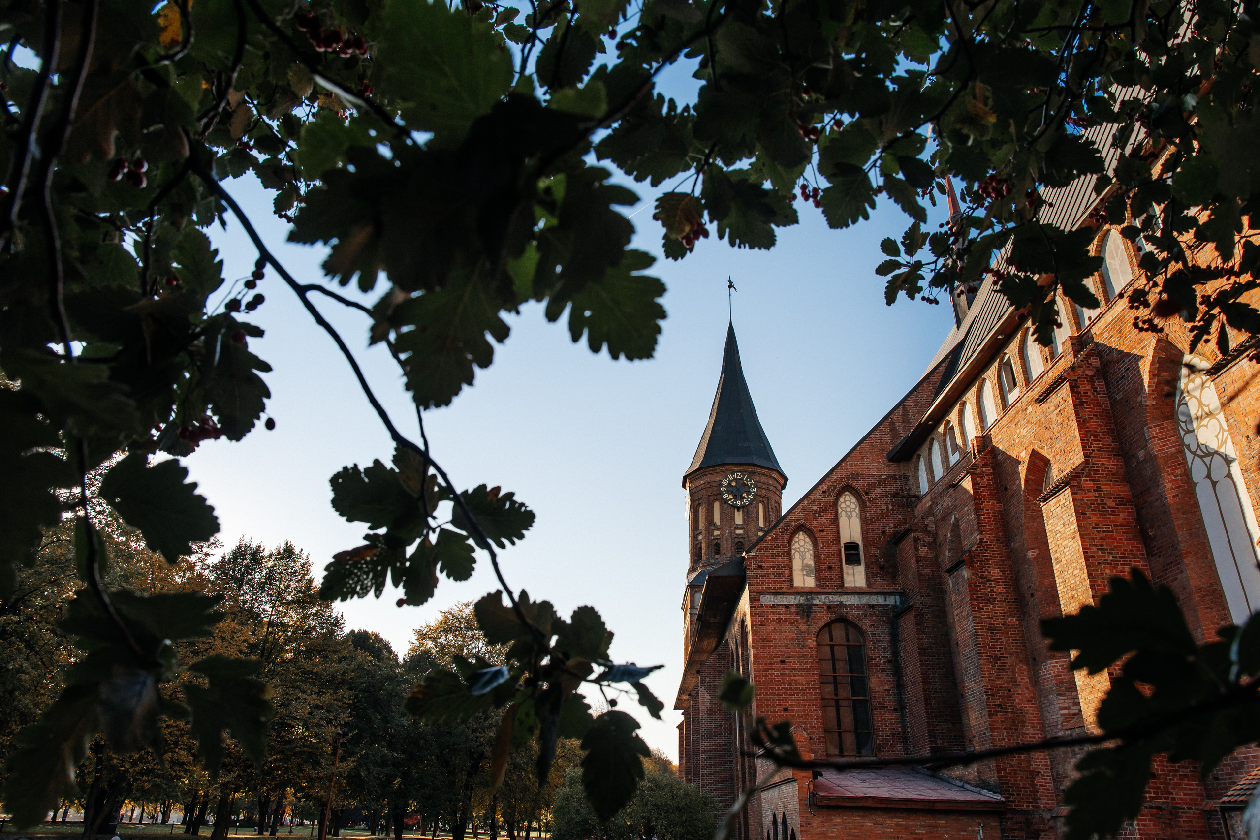 Калининградская область. Свадебный и репортажный фотограф в Москве Владимир Сергеев | Naysaikolo