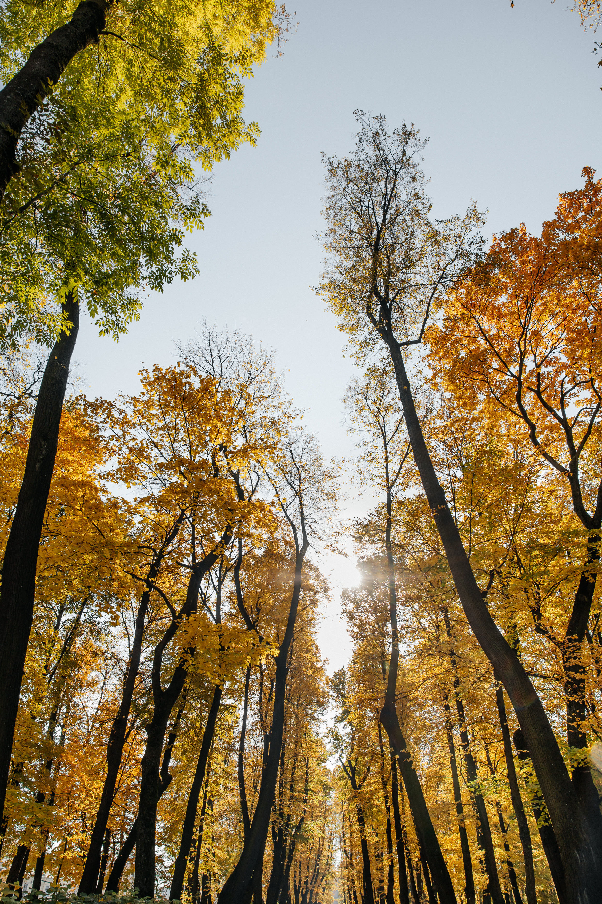 Санкт-Петербург. Свадебный и репортажный фотограф в Москве Владимир Сергеев | Naysaikolo