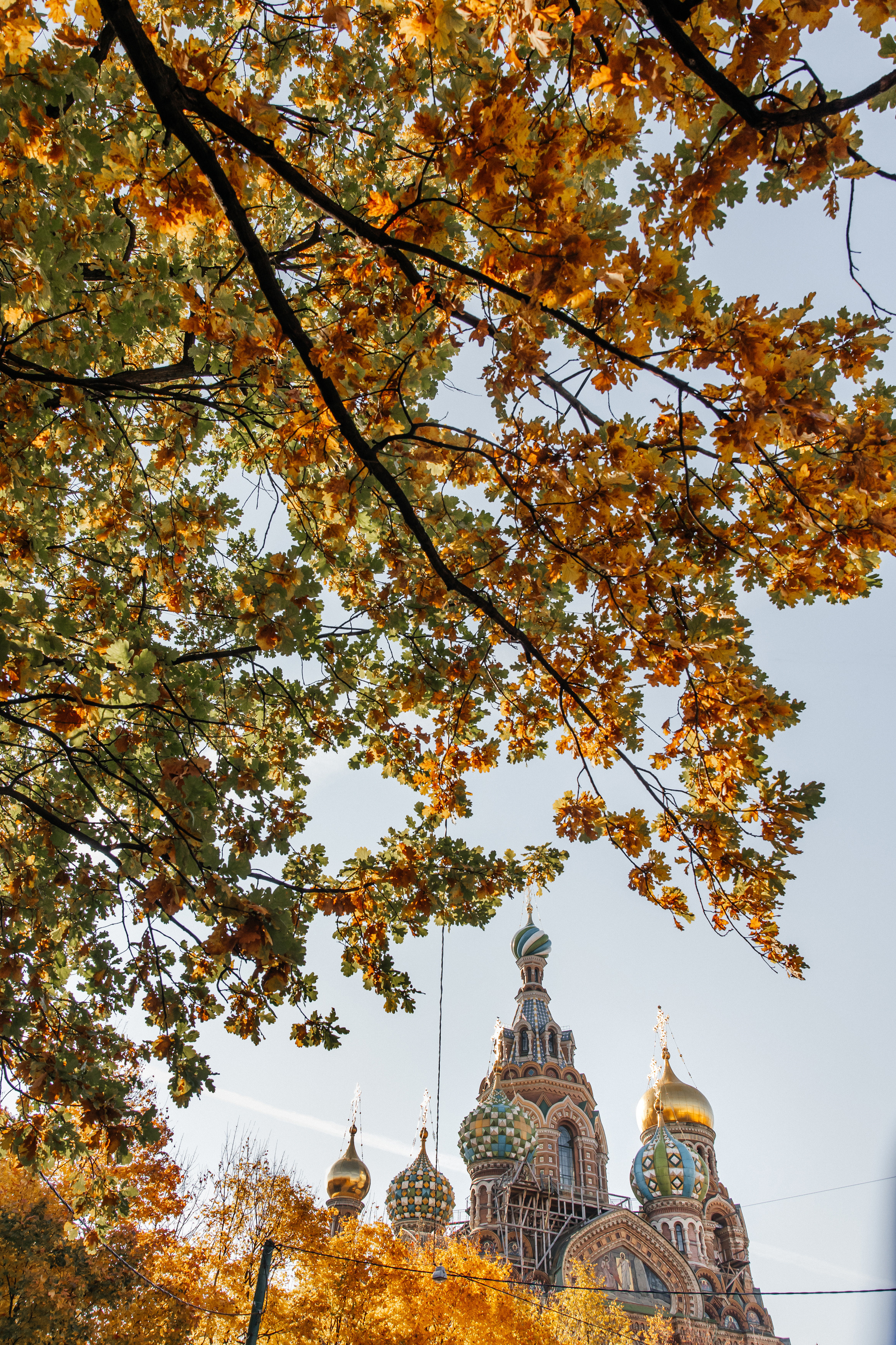 Санкт-Петербург. Свадебный и репортажный фотограф в Москве Владимир Сергеев | Naysaikolo