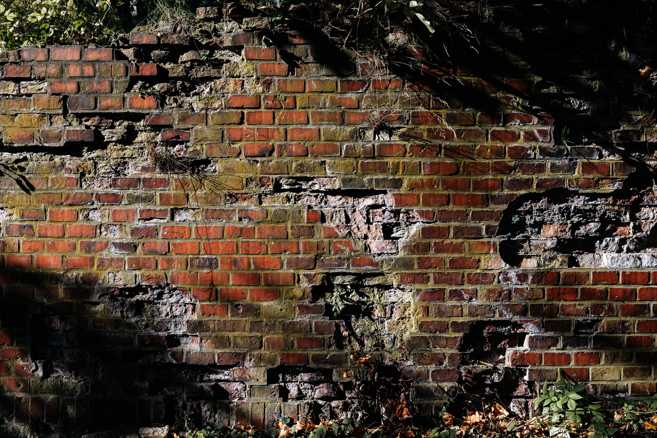 Калининградская область. Свадебный и репортажный фотограф в Москве Владимир Сергеев | Naysaikolo