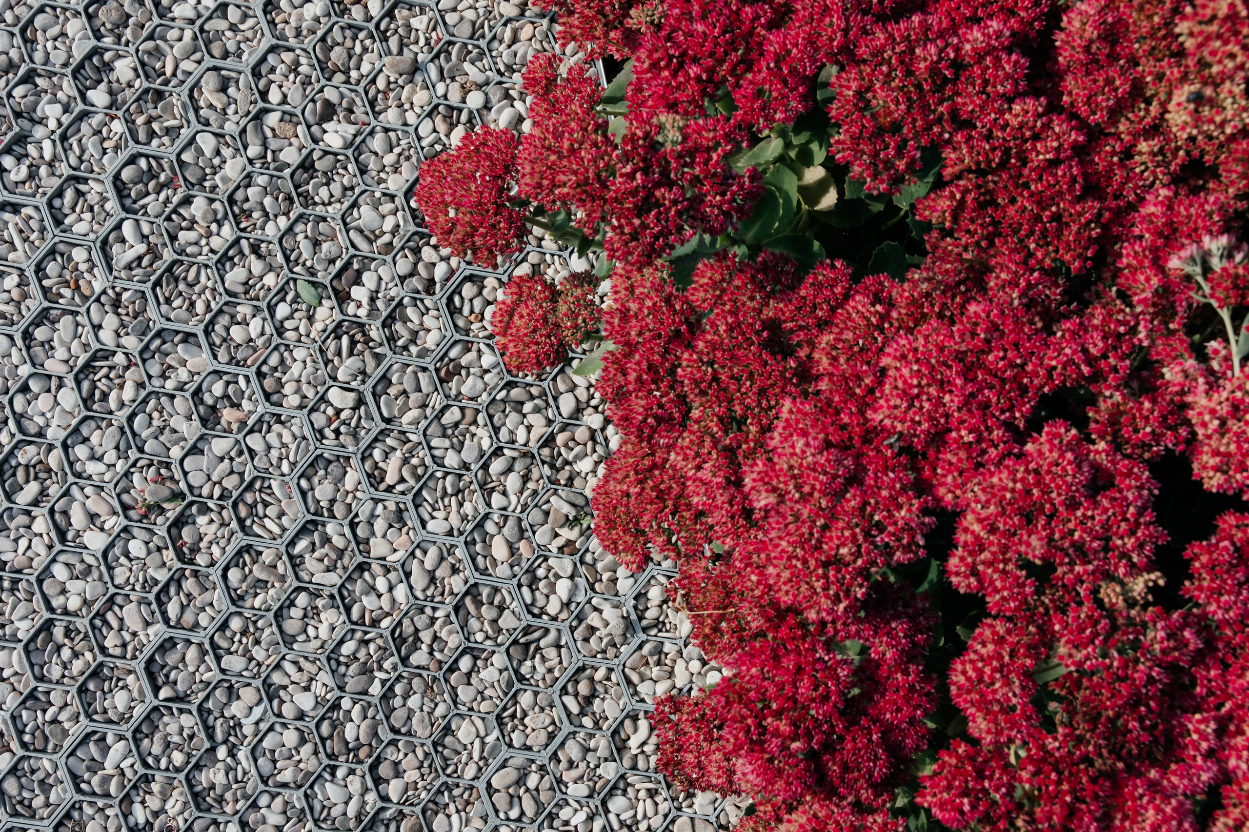 Санкт-Петербург. Свадебный и репортажный фотограф в Москве Владимир Сергеев | Naysaikolo