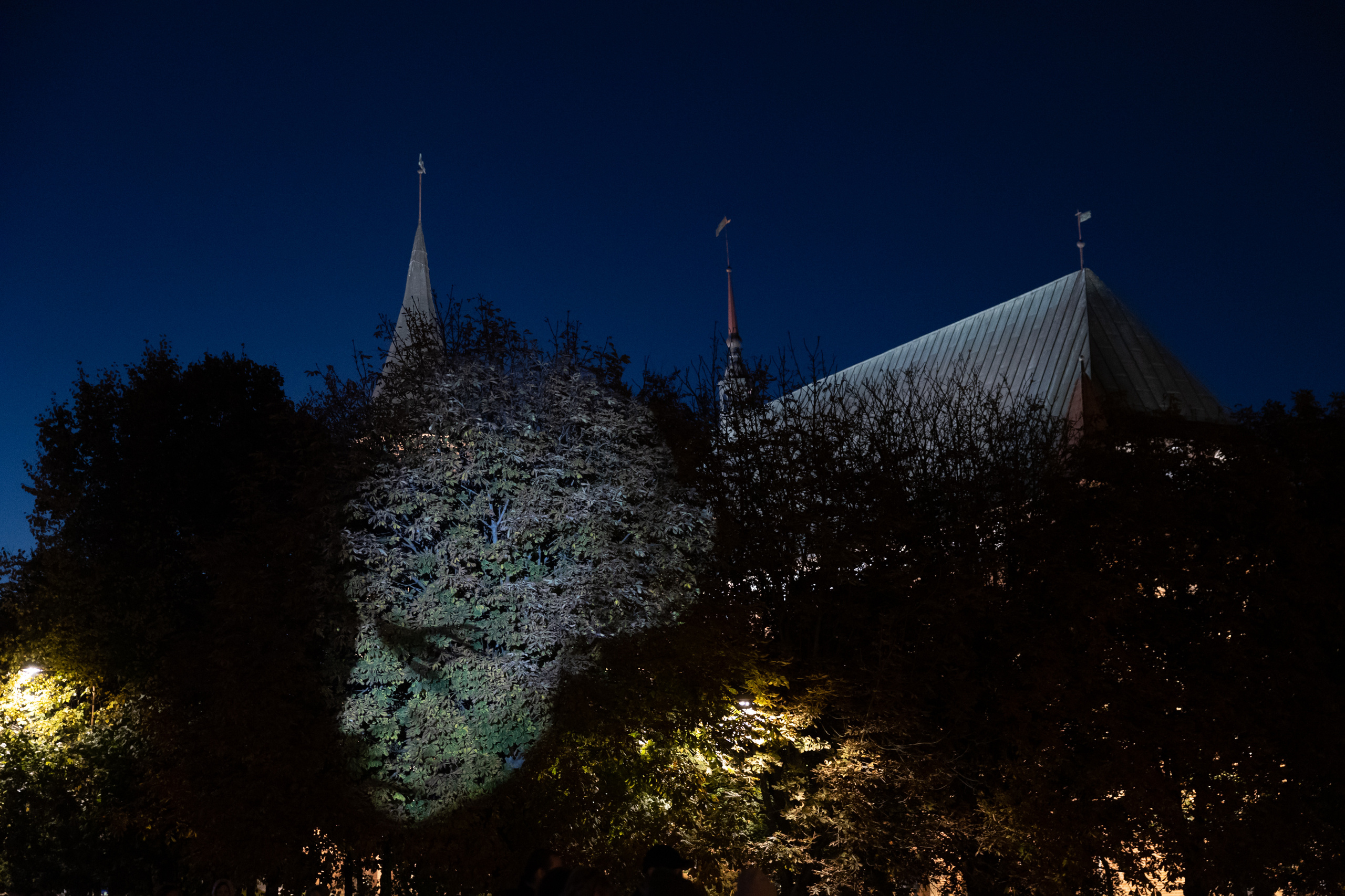 Калининградская область. Свадебный и репортажный фотограф в Москве Владимир Сергеев | Naysaikolo