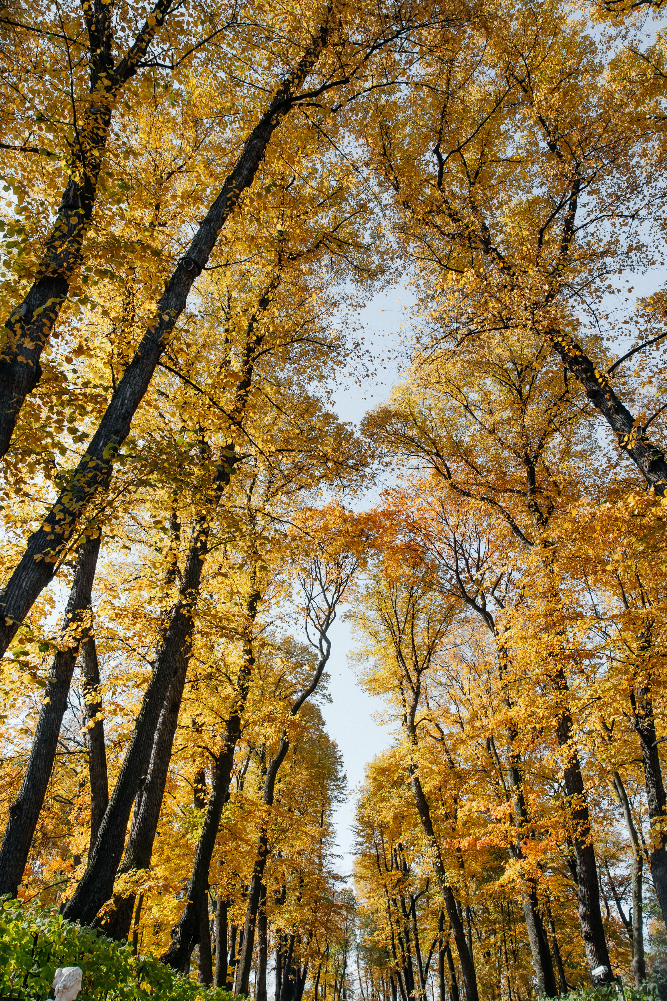 Санкт-Петербург. Свадебный и репортажный фотограф в Москве Владимир Сергеев | Naysaikolo