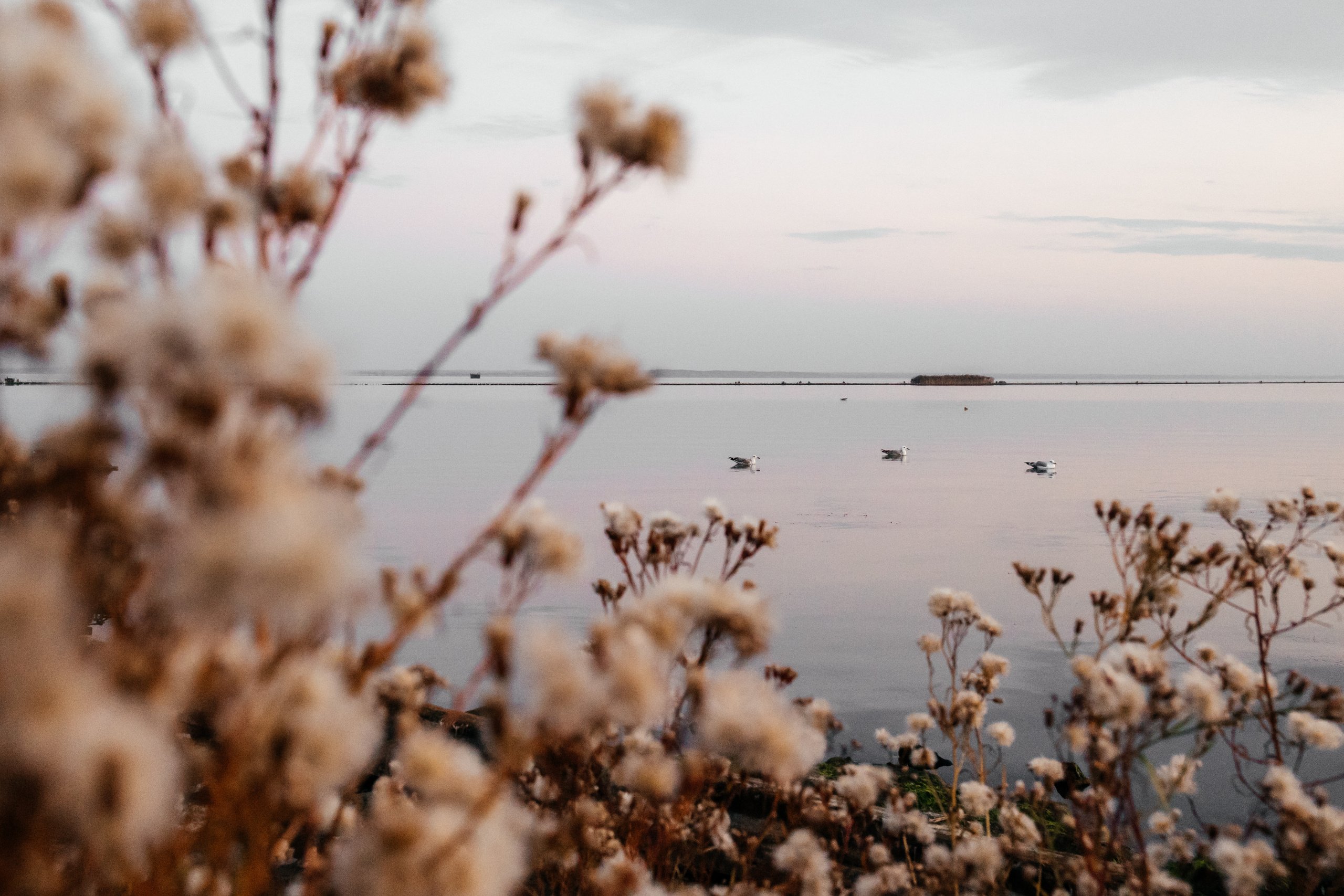 Калининградская область. Свадебный и репортажный фотограф в Москве Владимир Сергеев | Naysaikolo
