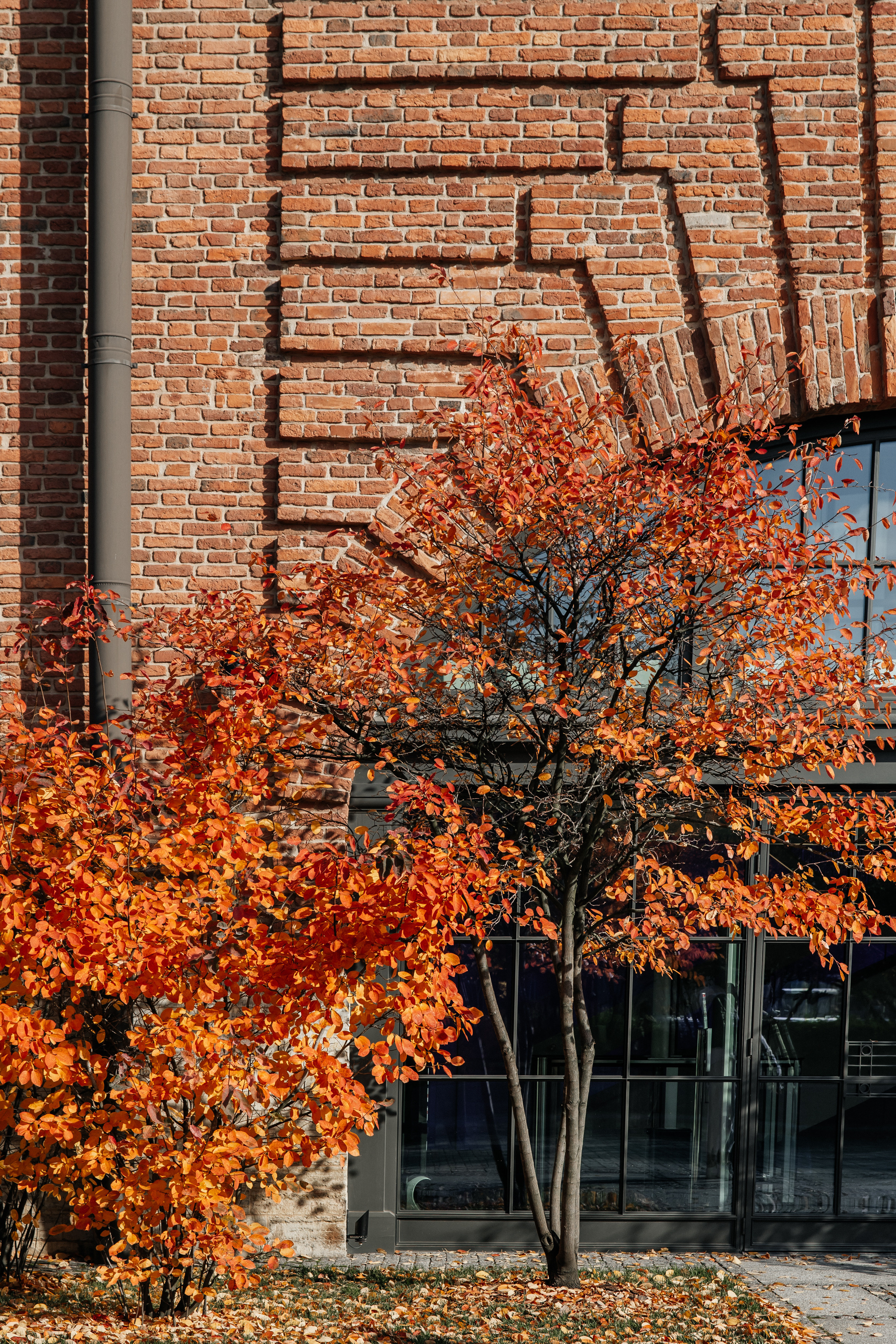 Санкт-Петербург. Свадебный и репортажный фотограф в Москве Владимир Сергеев | Naysaikolo