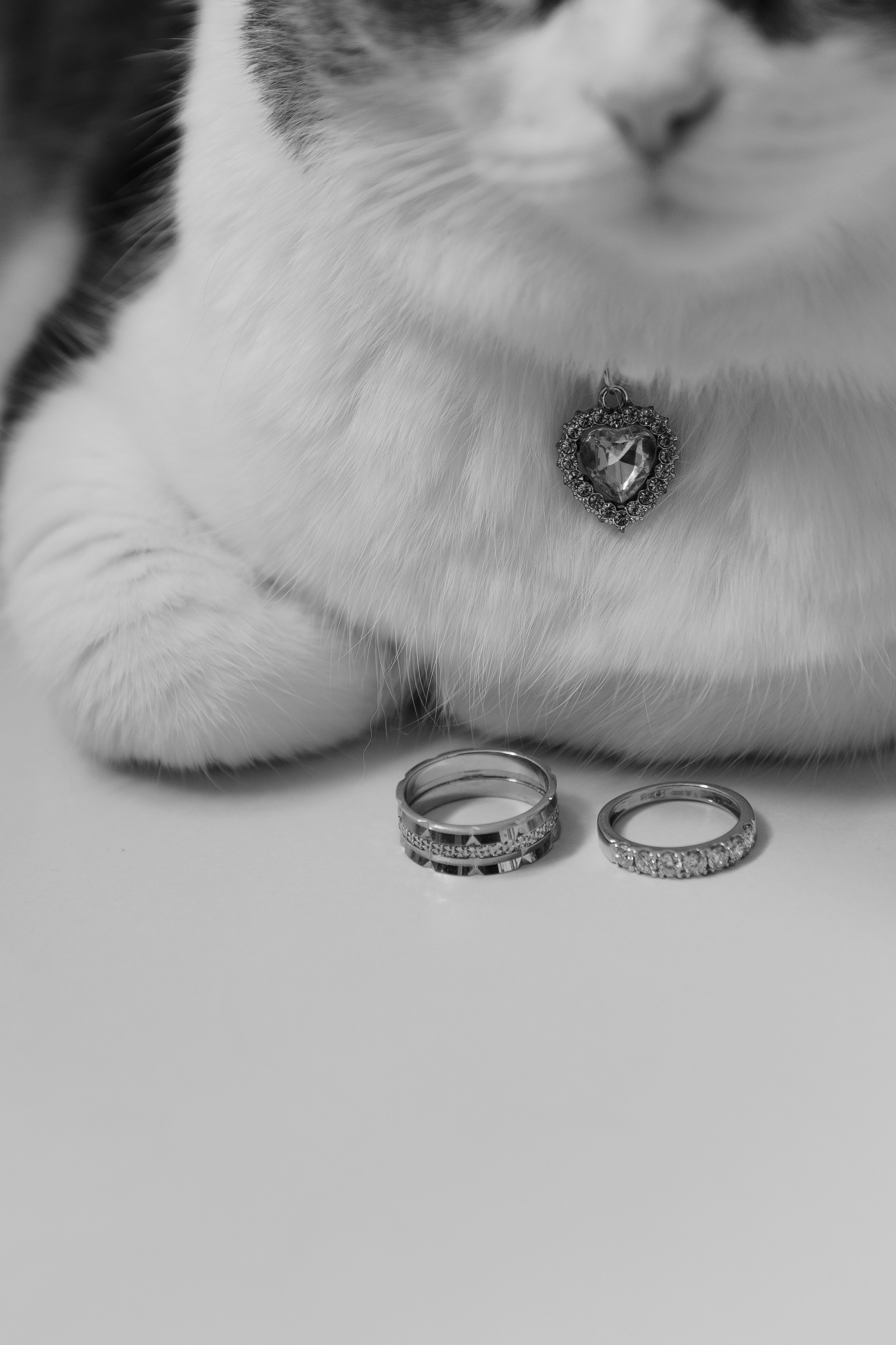 Свадьба Дмитрия и Екатерины. Фотограф Кольчугино/Владимир/Москва Елизавета Иода