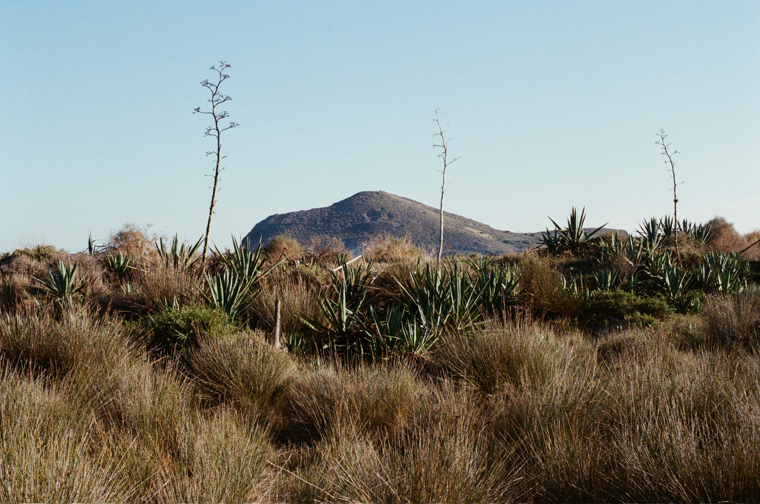 Spanish sahara // spain, cabo de gata. EVER EXPOSED