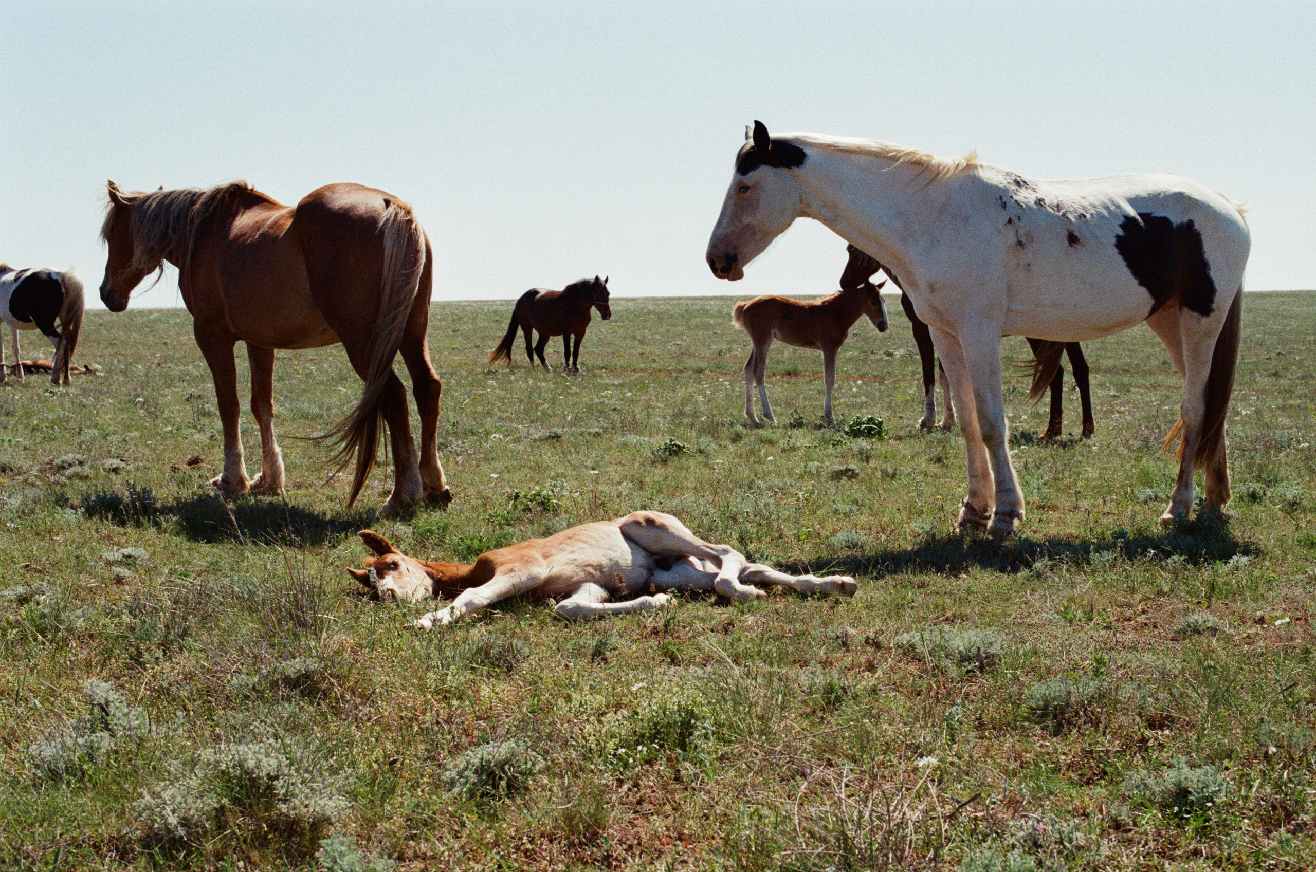 Some kind of madness // ukraine, crimea V. EVER EXPOSED