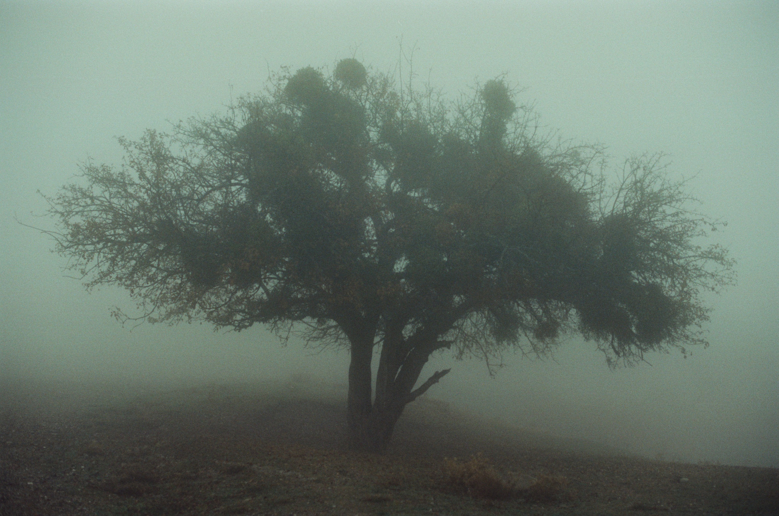 I o u // ukraine, crimea. EVER EXPOSED