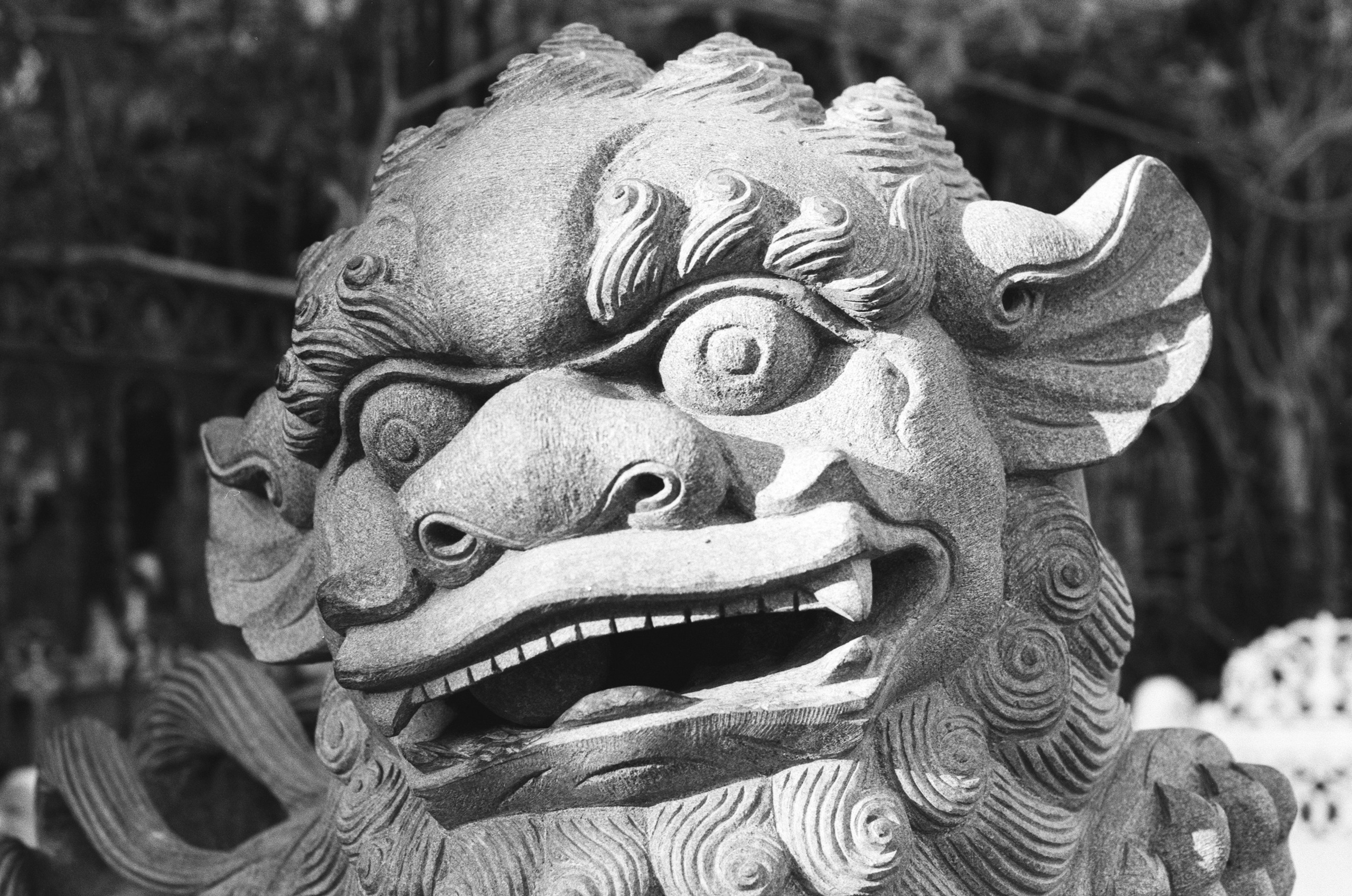 Complicated // turkey, istanbul V. EVER EXPOSED