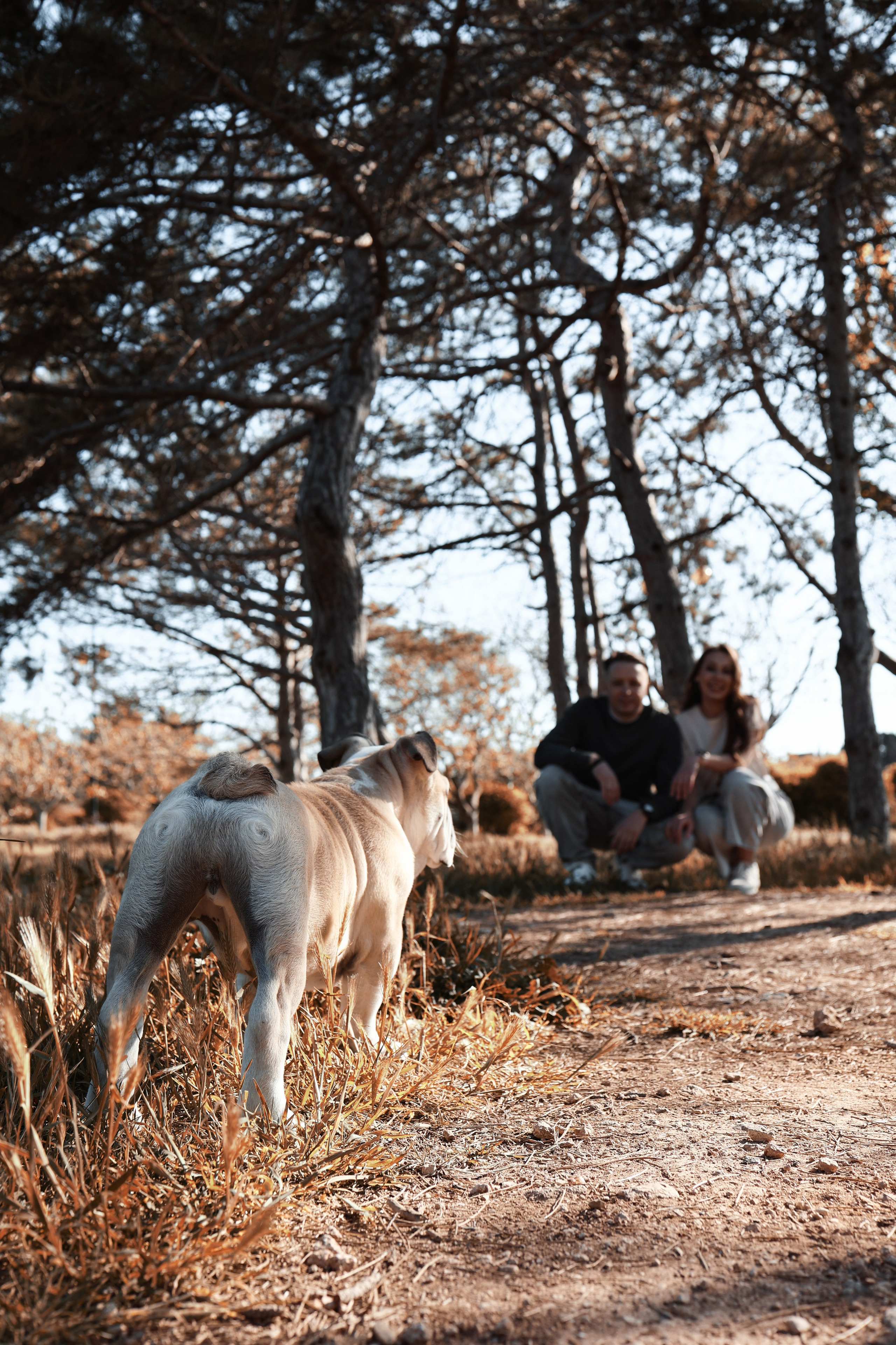 Новый член семьи. Withlovent | Фотограф в Севастополе