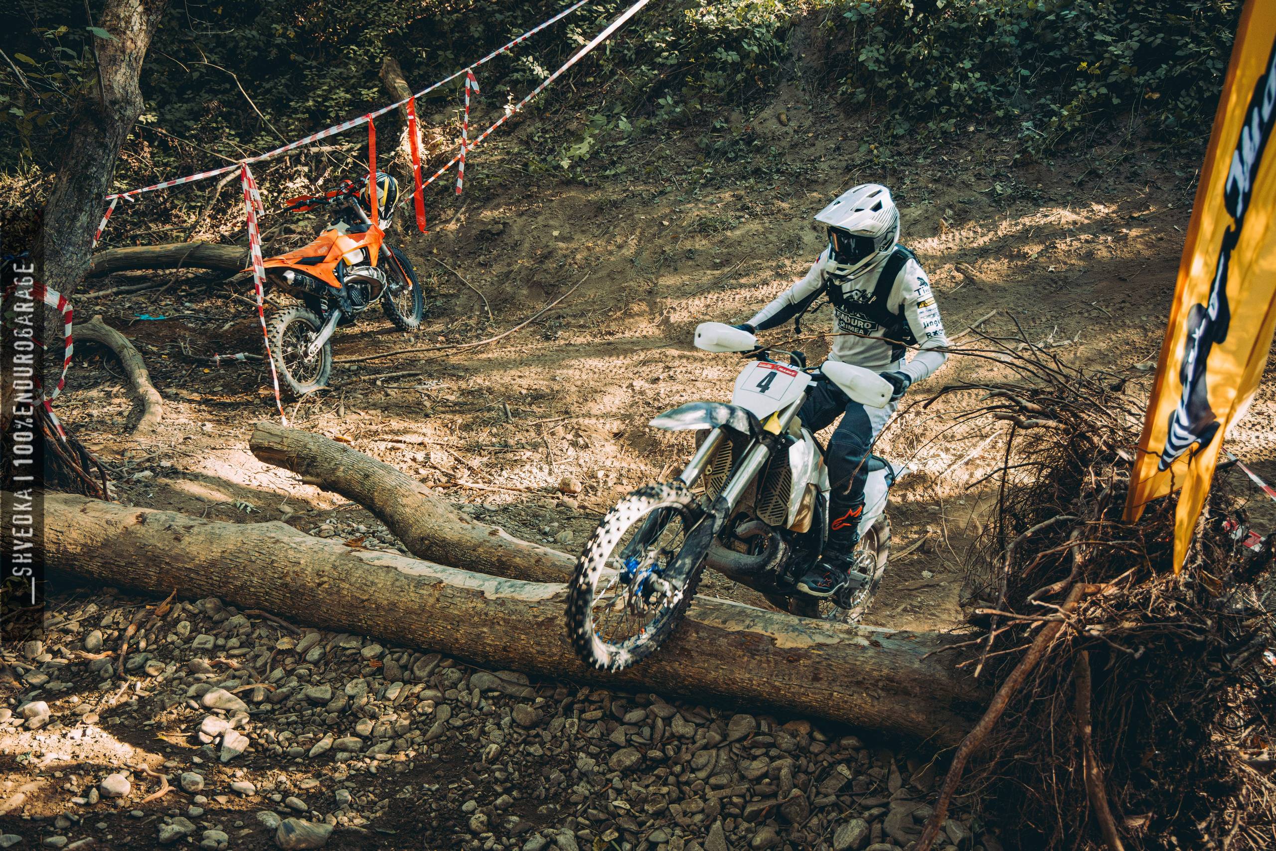 2 лесной день. Ваш экстрим фотограф Кудрева Яна