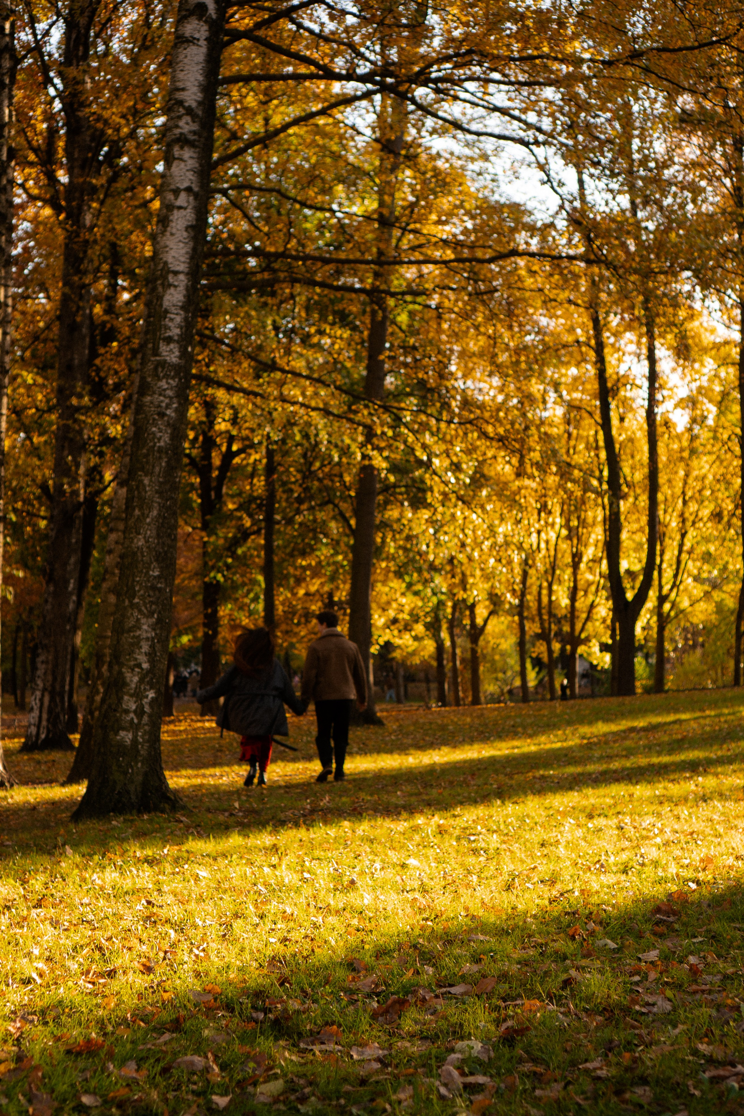 ОСЕННЯЯ ПРОГУЛКА. Профессиональный фотограф, Санкт-Петербург — Виктория Богомолова