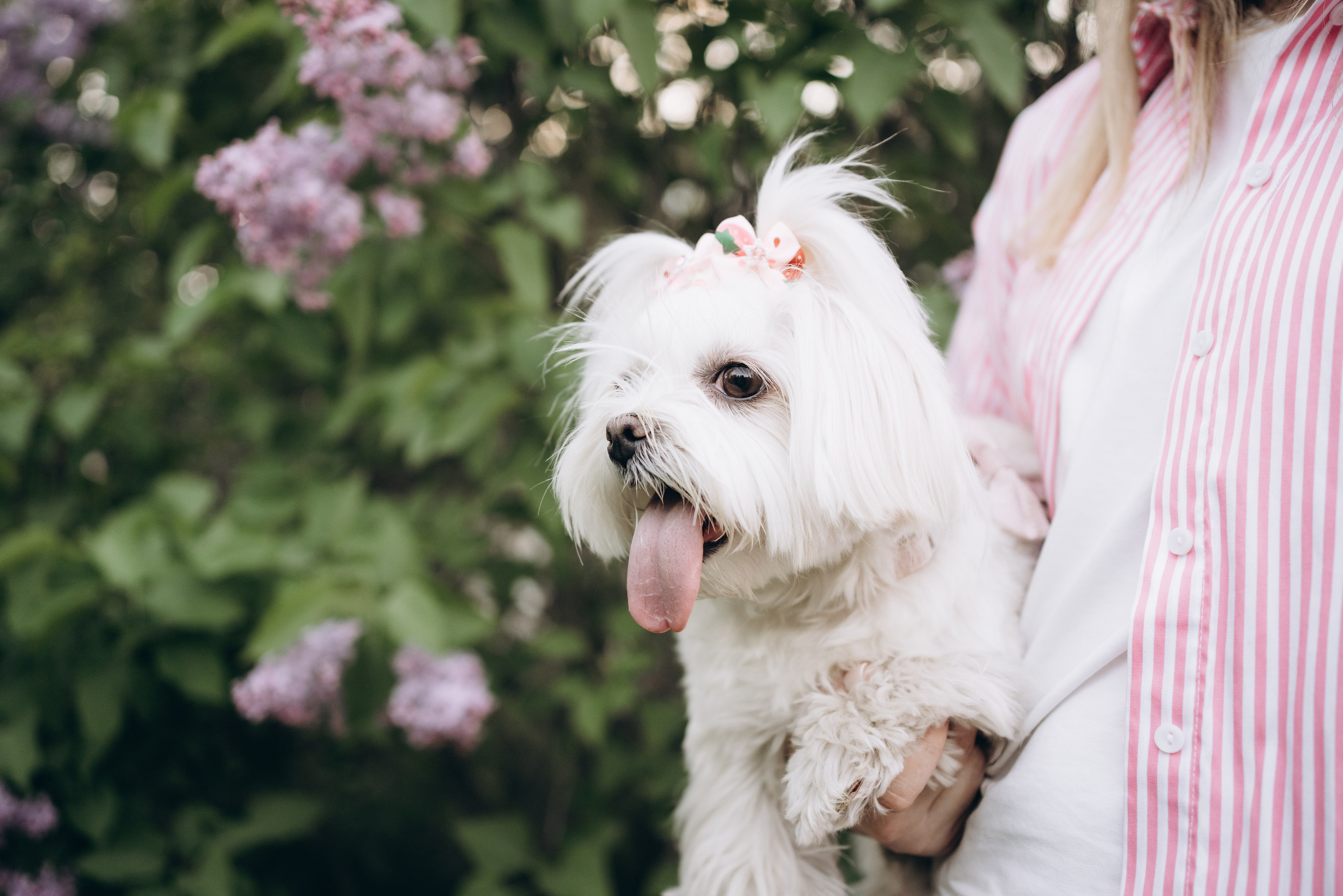 Лиза. Фотограф-анималист Анастасия Большакова