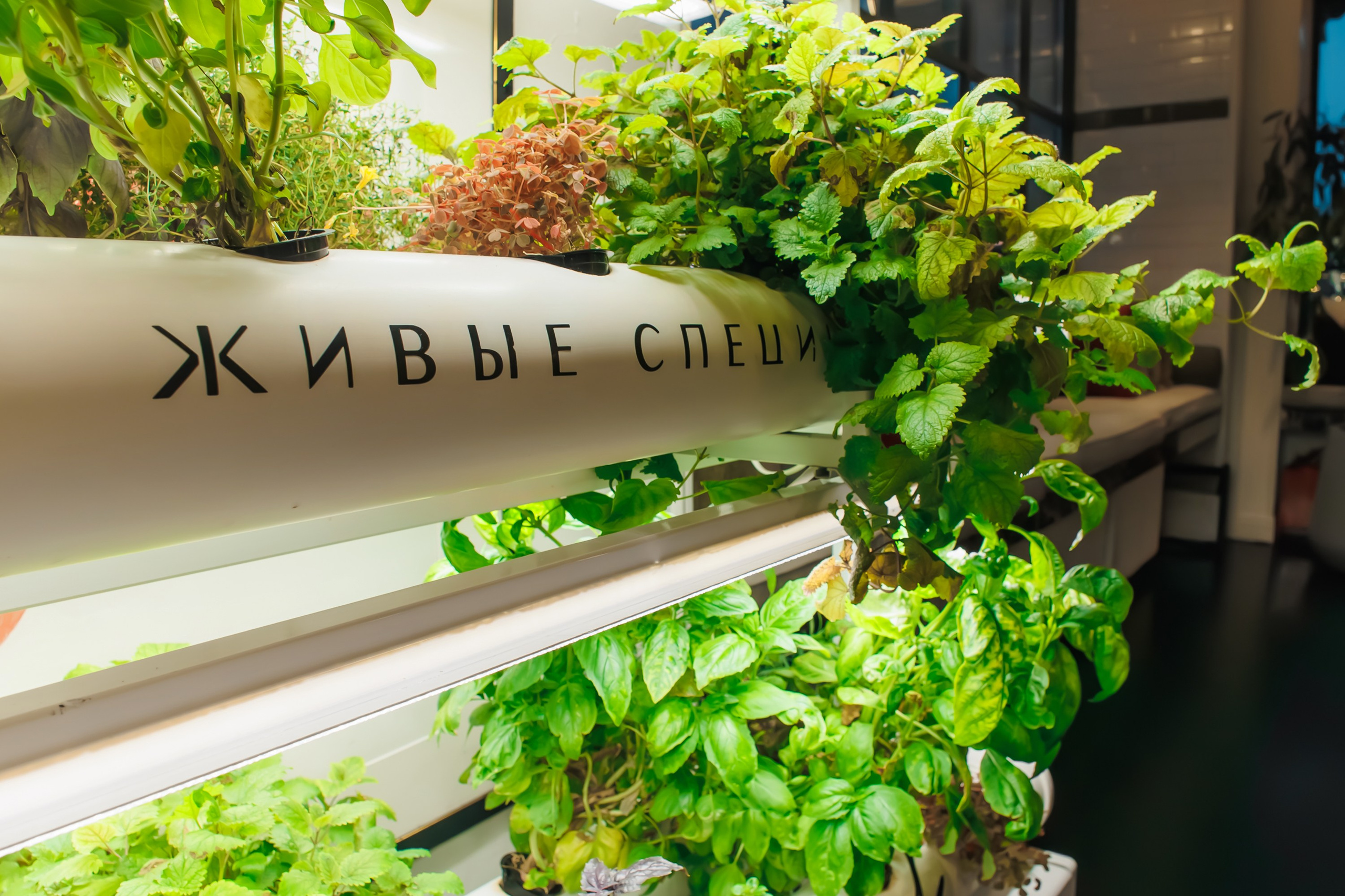 Кулинарный Мастер-Класс. Главная