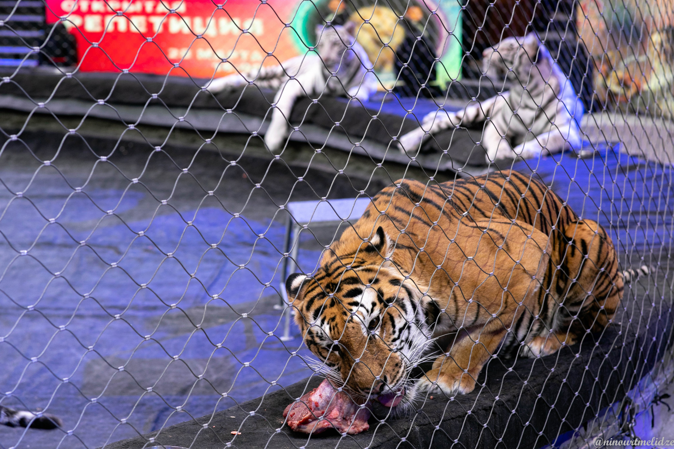 В закулисье у братьев Запашных. Art photographer Nino