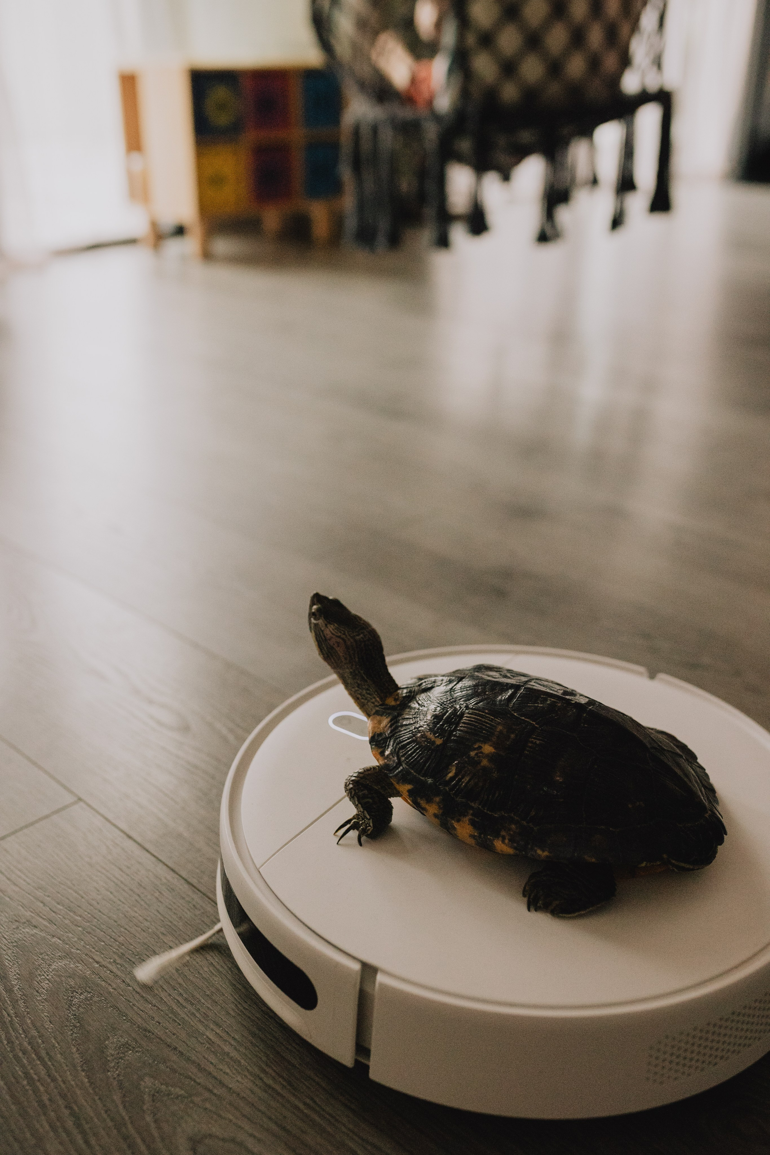 В доме. Фотограф в Москве Таня Быкова