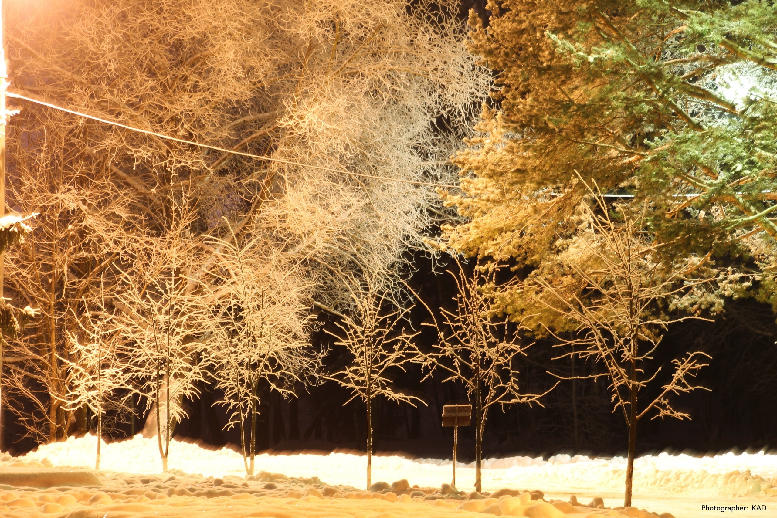 Пейзажи и природа. Photographer K.A.D