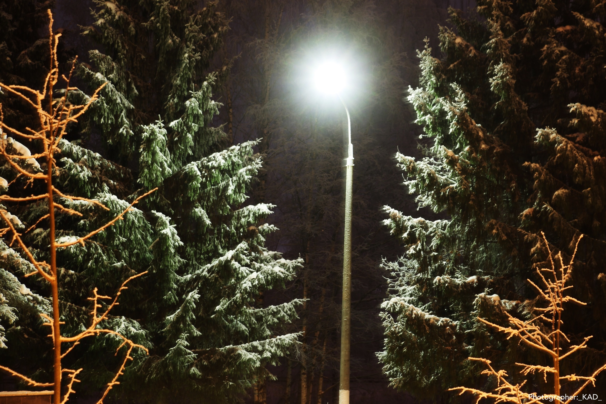 Пейзажи и природа. Photographer K.A.D