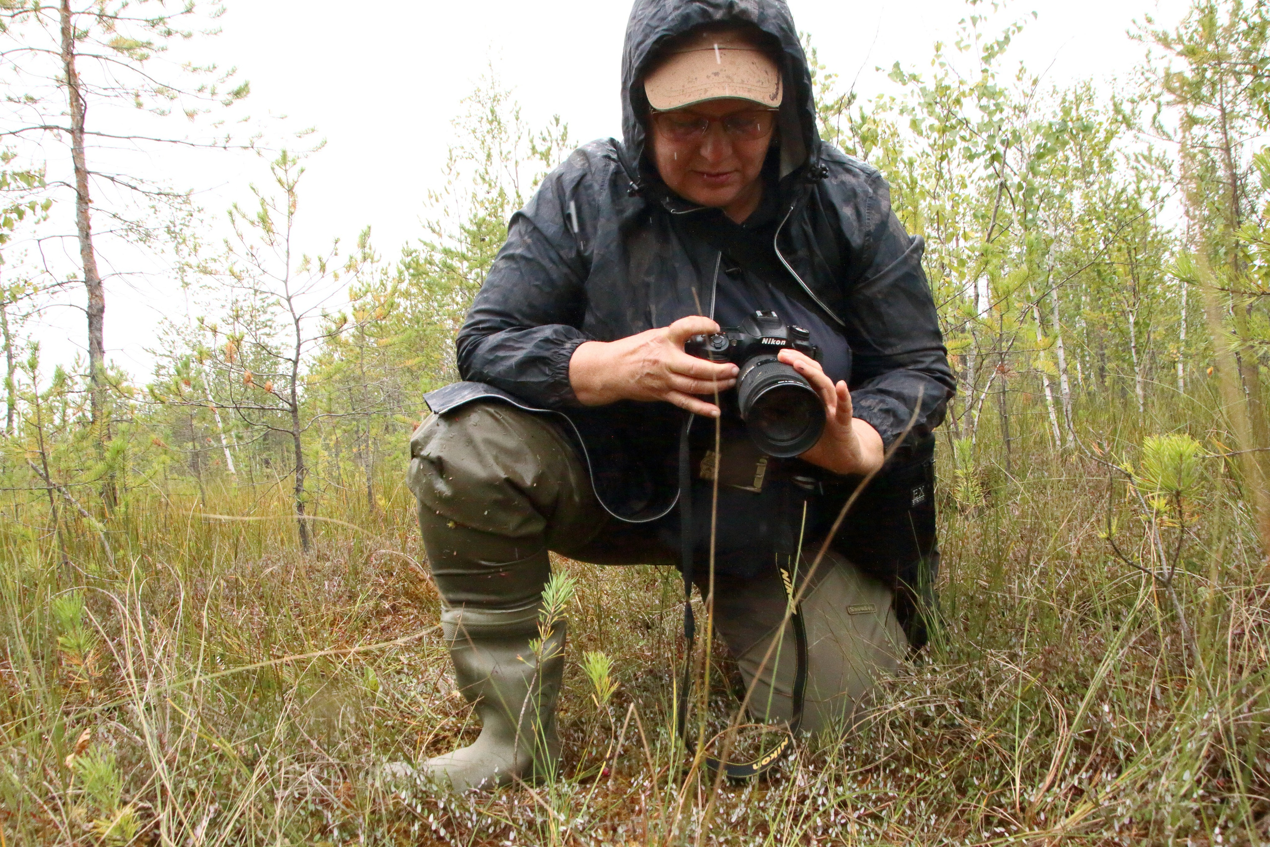 27.08.2019 Фотопленэр на болоте Самарская обл., Шигонский р-н. Фотообъединение Самарского областного отделения Союза журналистов России